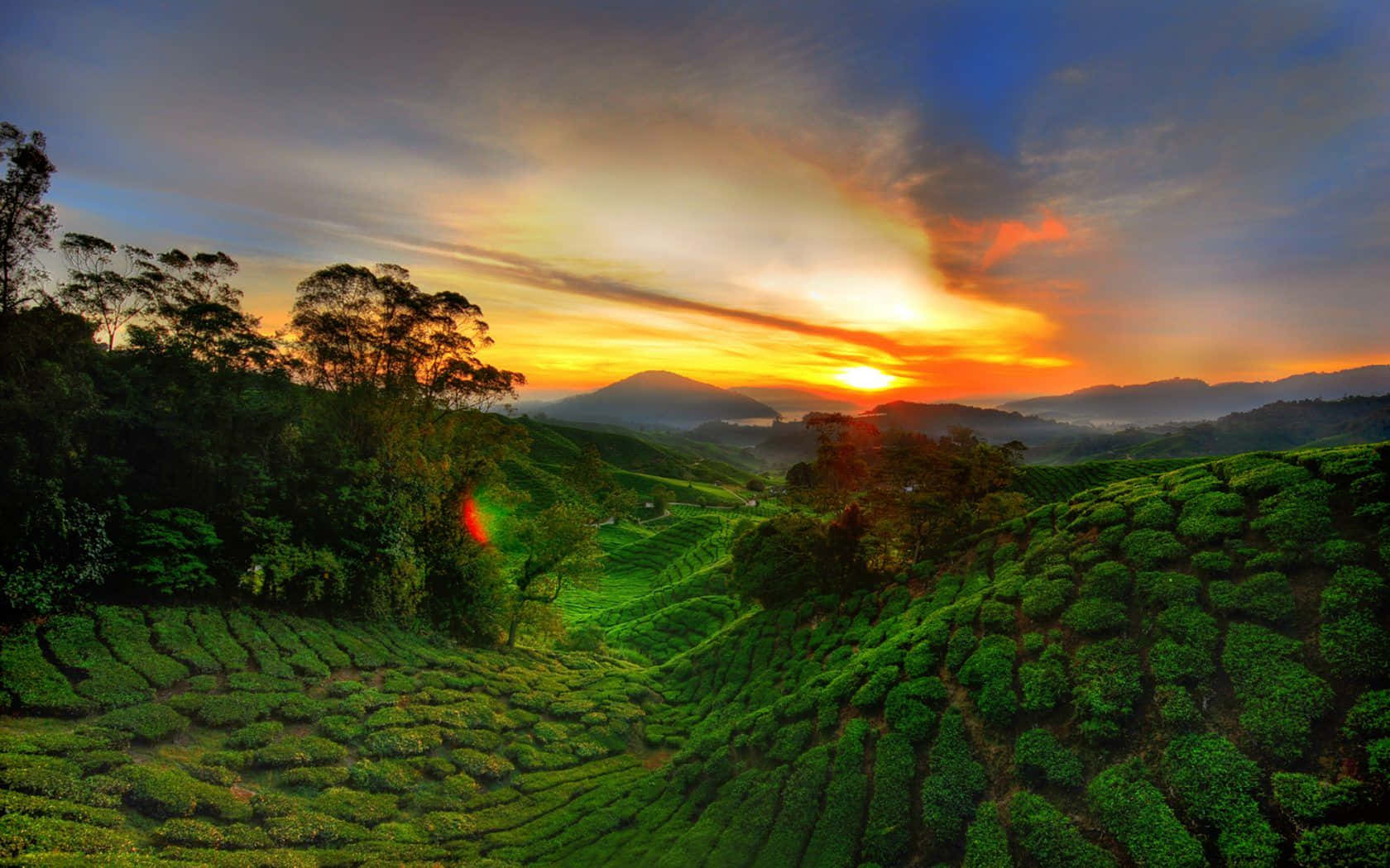 African Landscapes 桌布 壁紙 — 夕陽在起伏的綠色茶園和遠處霧濛濛的山巒上空，將天空染成火熱的橙色和藍色。