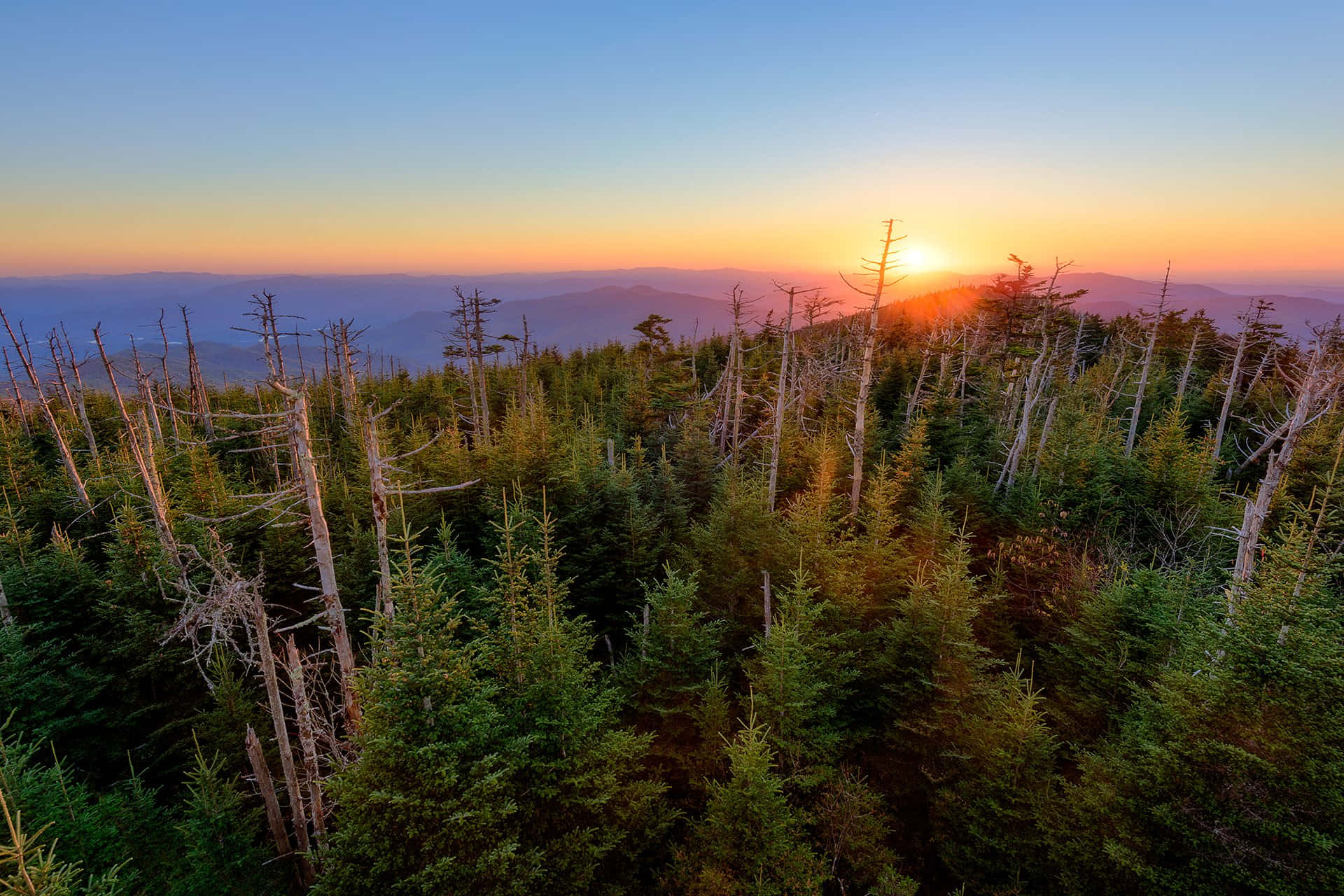 太陽 桌布 壁紙 — 夕陽在遠山後落下，將天空染成橙色，為一片綠色松樹和光禿樹木的森林投下溫暖的光芒。