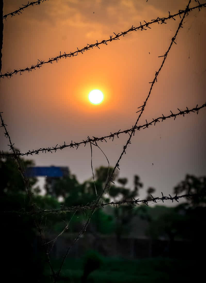 早安 桌布 壁紙 — 夕陽在鐵絲網剪影後發光，映襯著朦朧的橙色天空和下方模糊的綠色樹葉。