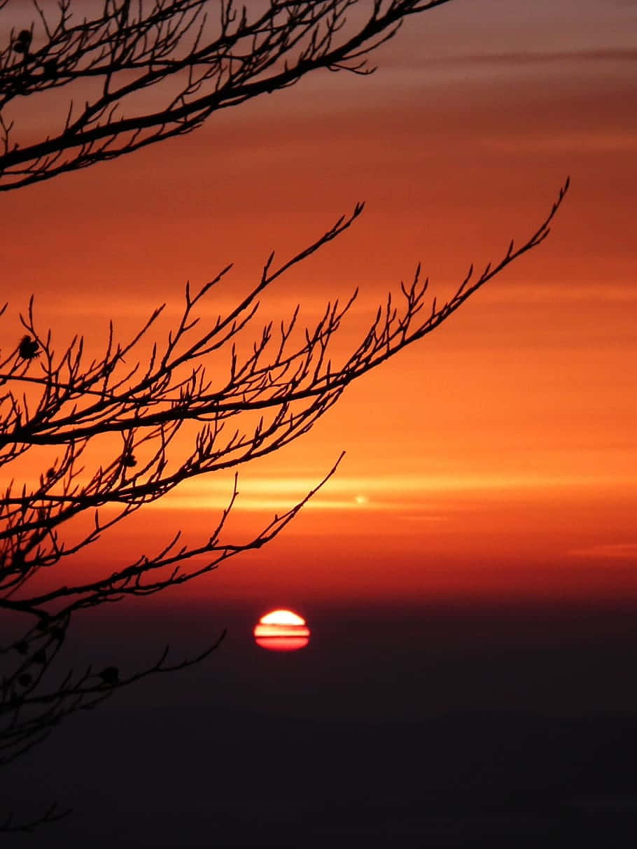 夕陽天空背景 壁紙