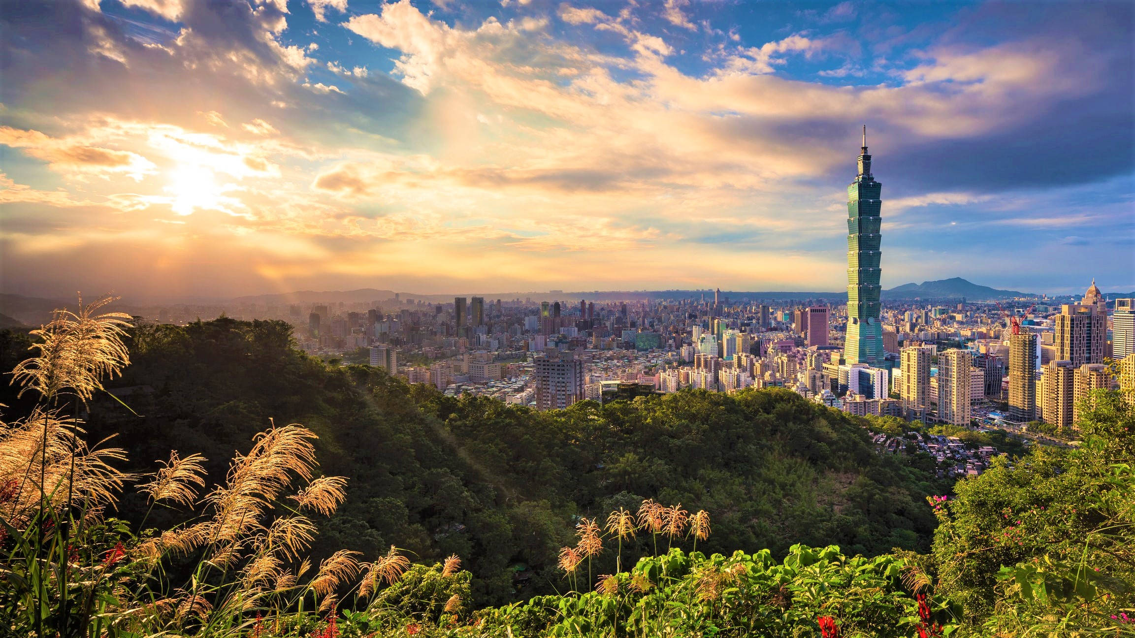 台北 桌布 壁紙 — 夕陽將台北天際線沐浴在金色光芒中，台北101大樓在鬱鬱蔥蔥的綠色山丘和城市景觀之上聳立。