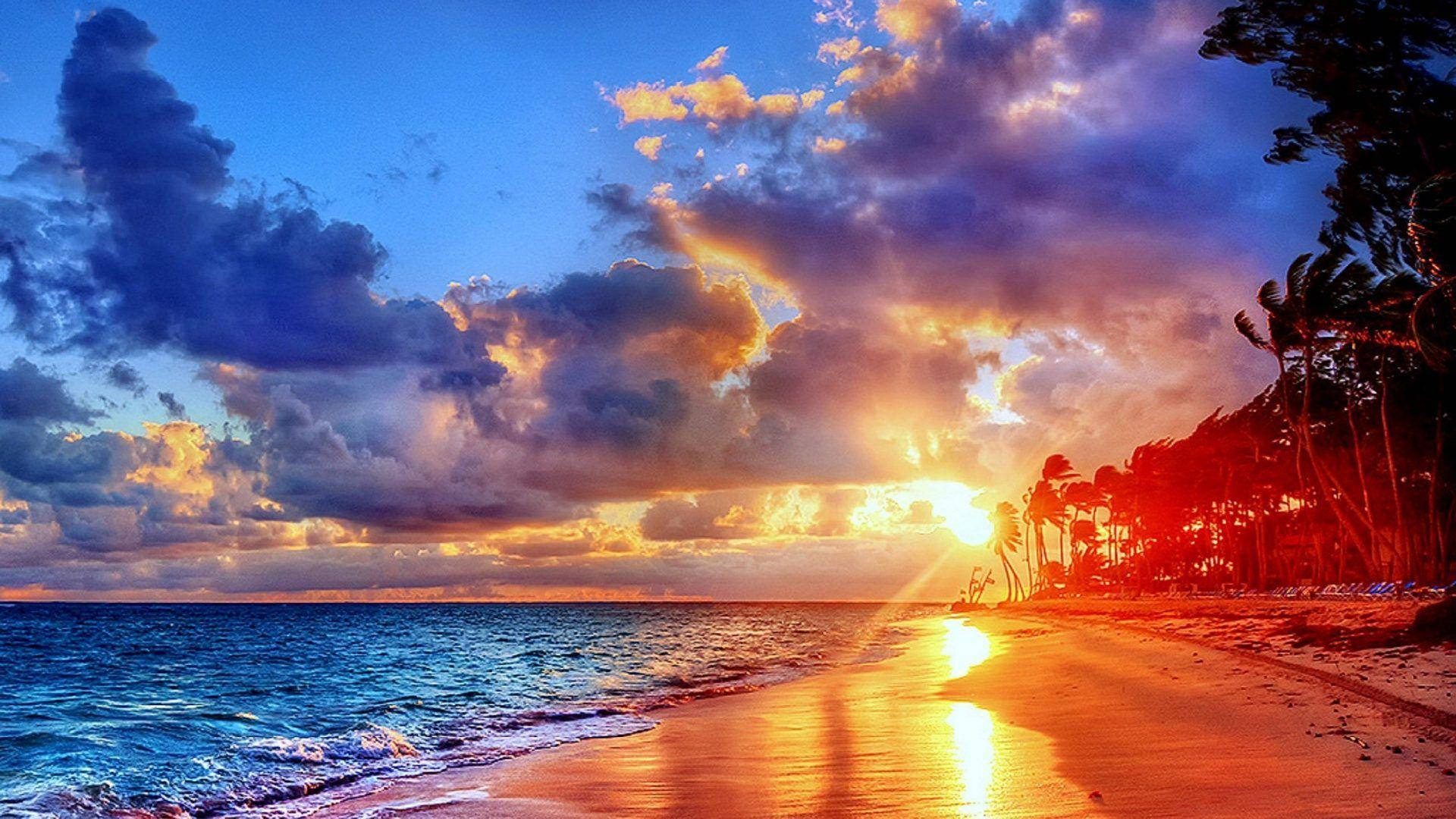 海洋 桌布 壁紙 — 夕陽將天空和海洋染成火熱的橙色和深藍色，海浪親吻著棕櫚樹成蔭的沙灘。