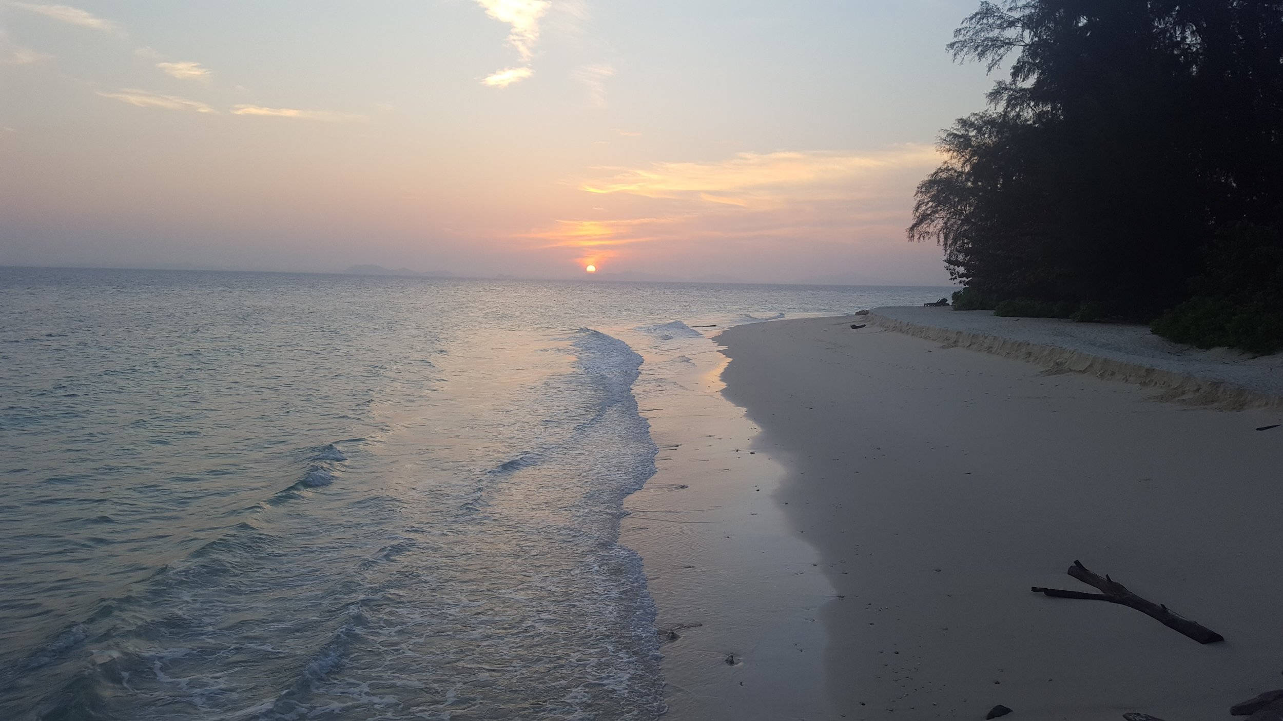 日落 桌布 壁紙 — 夕陽將天空染成柔和的橙色和粉紅色，溫柔的海浪拍打著寧靜的沙灘，沙灘兩旁是深色的樹木。