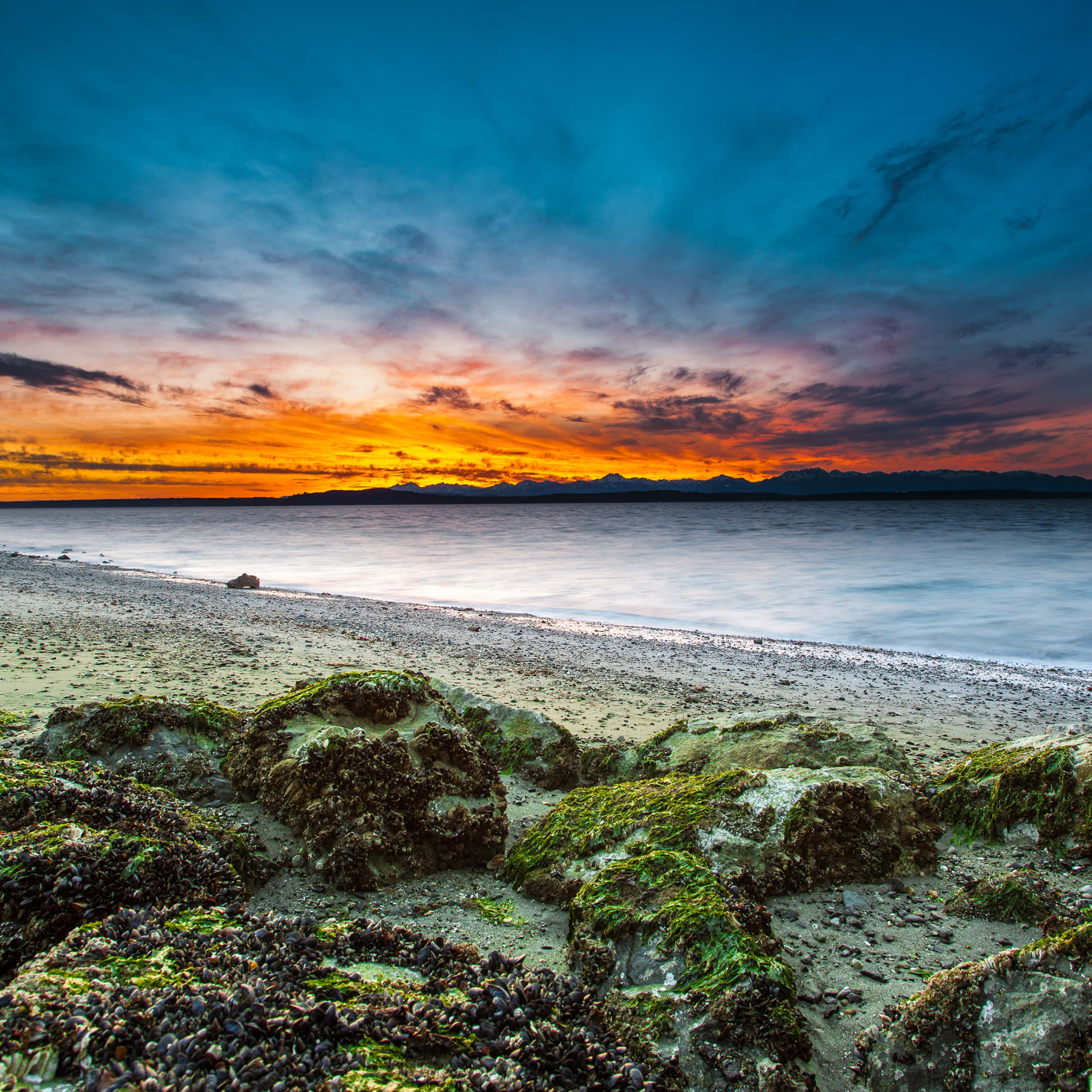 Beach Photography 桌布 壁紙 — 夕陽將天空染成火橙色和深藍色，映照在平靜的海面上，前景是長滿苔蘚的岩石和鵝卵石。