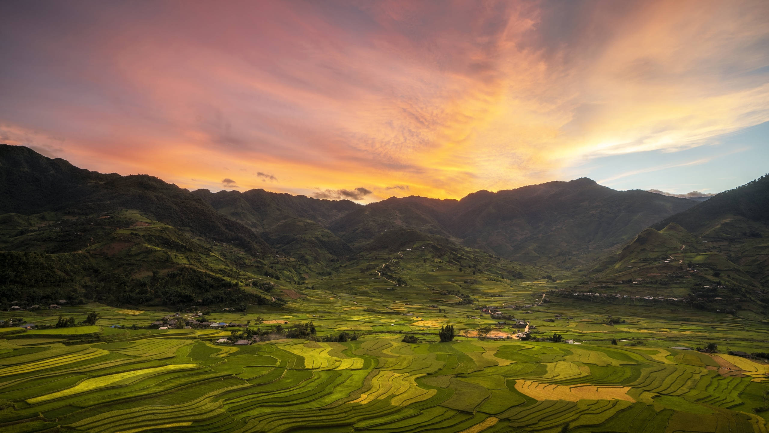 2560x1440 nature 桌布 壁紙 — 夕陽將天空染成火熱的橙色和粉紅色，映照在蜿蜒穿過翠綠山巒的梯田之上。