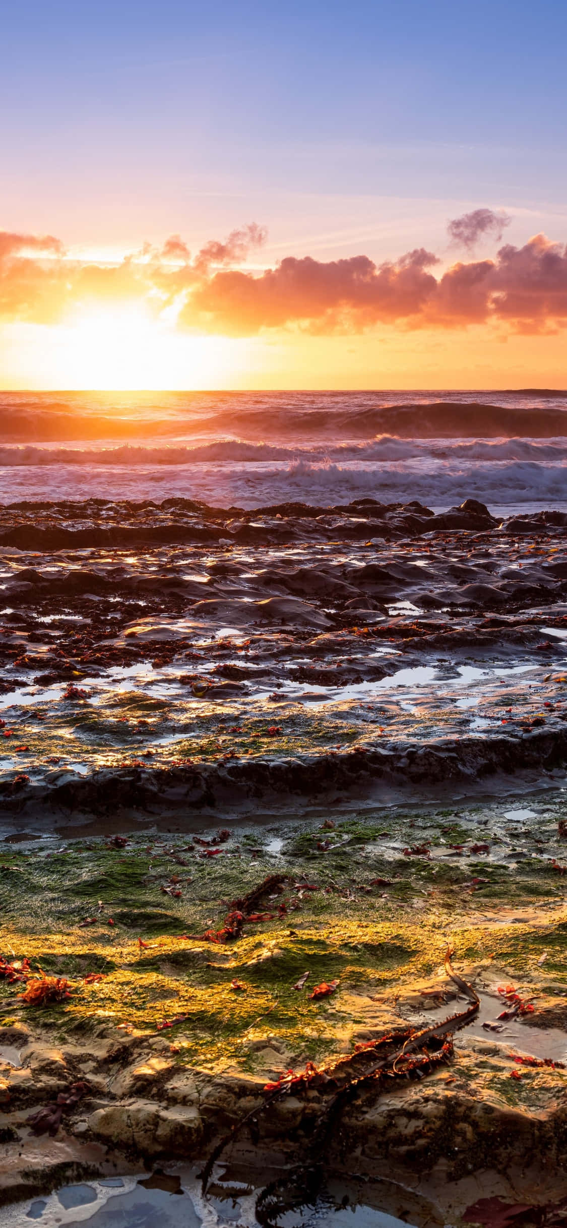 iPhone X California 桌布 壁紙 — 夕陽將天空染成火熱的橙色和粉紅色，海浪拍打著海岸線上長滿苔蘚的岩石。