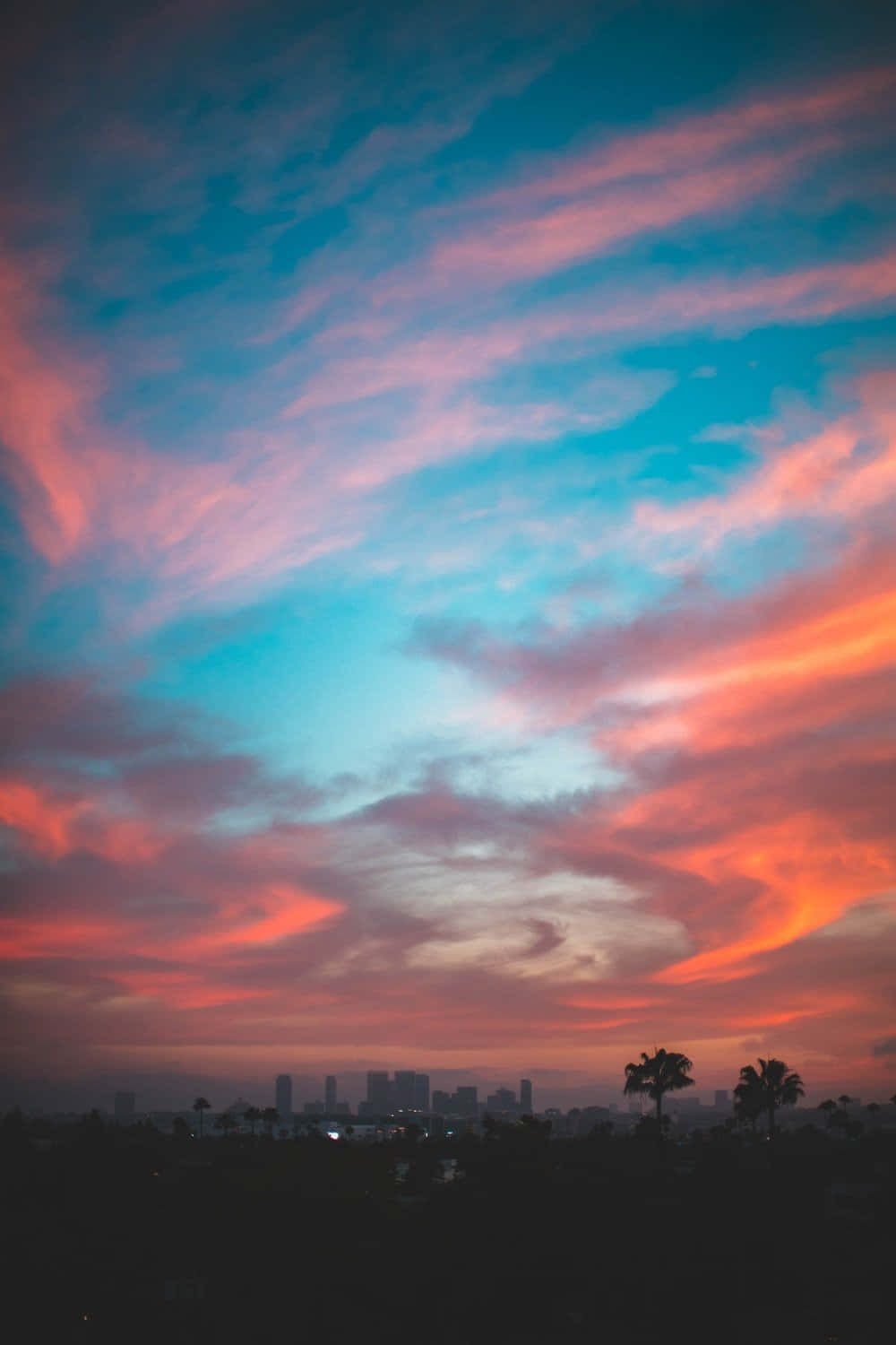 Sunset Photography 桌布 壁紙 — 夕陽將天空染成火熱的橙色和粉紅色條紋，映襯著棕櫚樹剪影的城市天際線。
