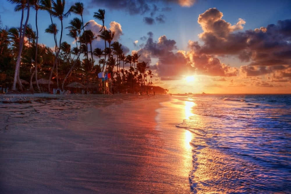 日落 桌布 壁紙 — 夕陽將天空染成火熱的橙色和紫色，海浪拍打著棕櫚樹成蔭的沙灘。