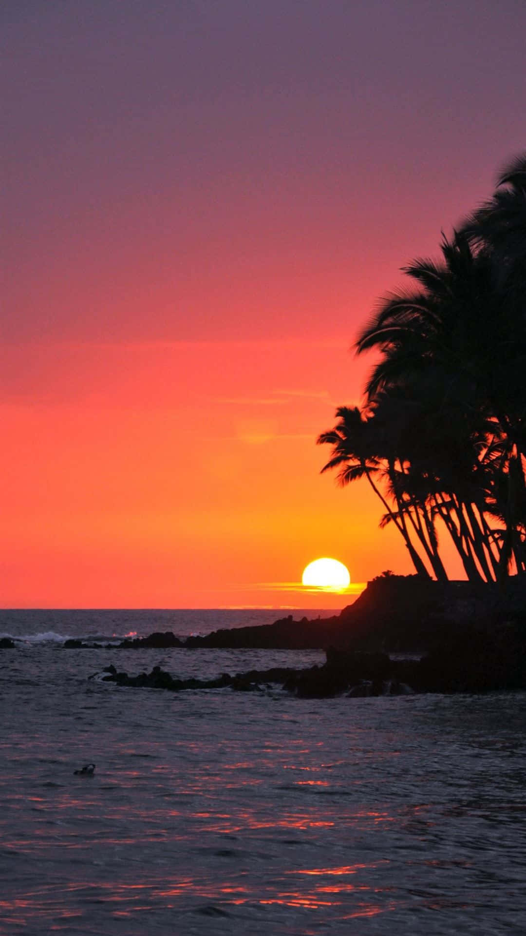 Hawaiian 桌布 壁紙 — 夕陽將天空染成火熱的橙色和紫色，棕櫚樹在海洋地平線上形成剪影。