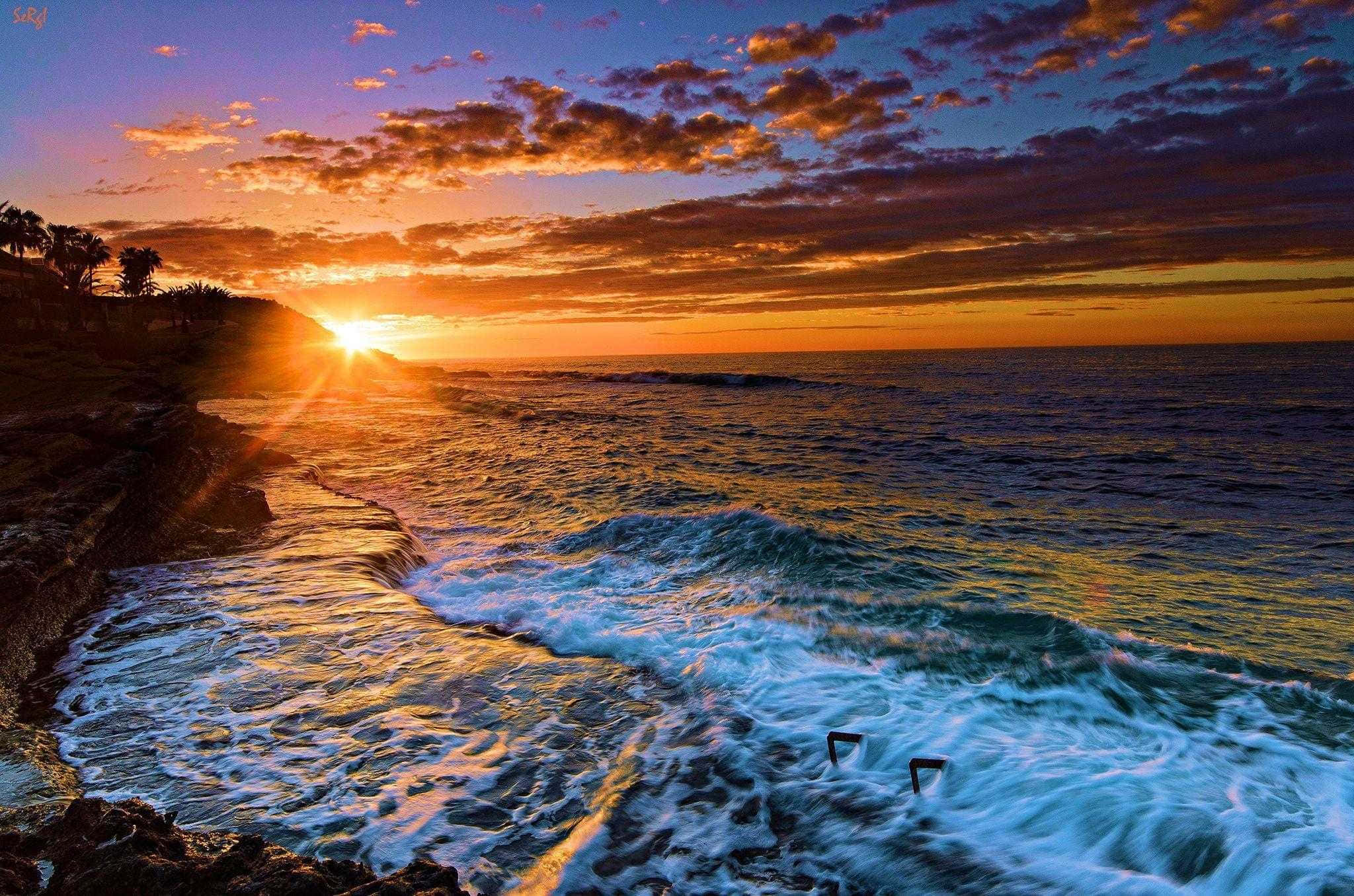 Beautiful Sea 桌布 壁紙 — 夕陽將天空染成火熱的橙色和紫色，海浪拍打岩石海岸，棕櫚樹在懸崖上形成剪影。