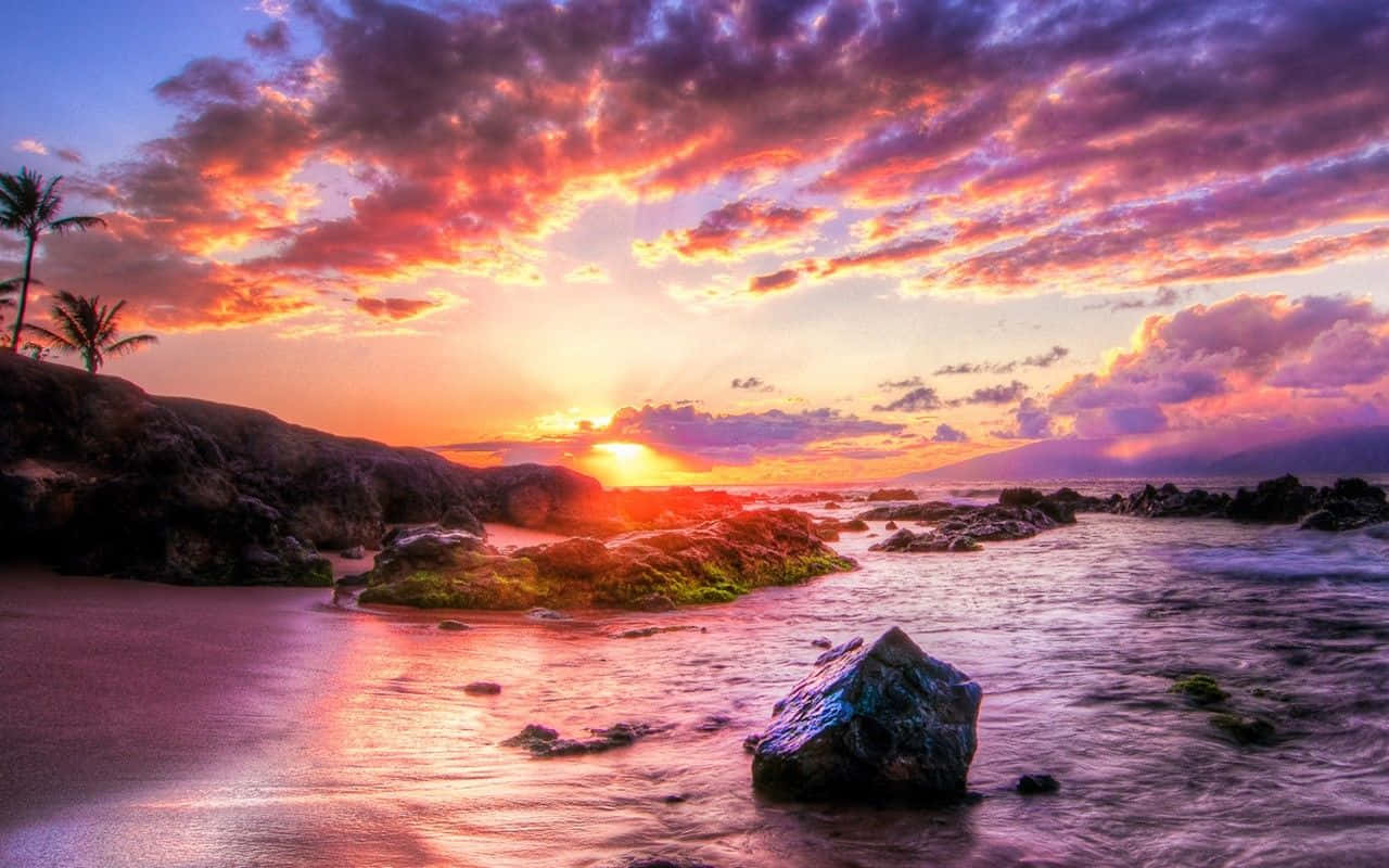夏威夷 桌布 壁紙 — 夕陽將天空染成火熱的橙色和紫色，照耀著岩石海灘、棕櫚樹和閃爍的水面。