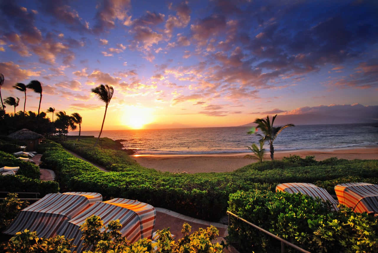 Resort 桌布 壁紙 — 夕陽將天空染成火熱的橙色和紫色，棕櫚樹在寧靜的海灘上搖曳，條紋小屋隱藏在茂密的綠意中。