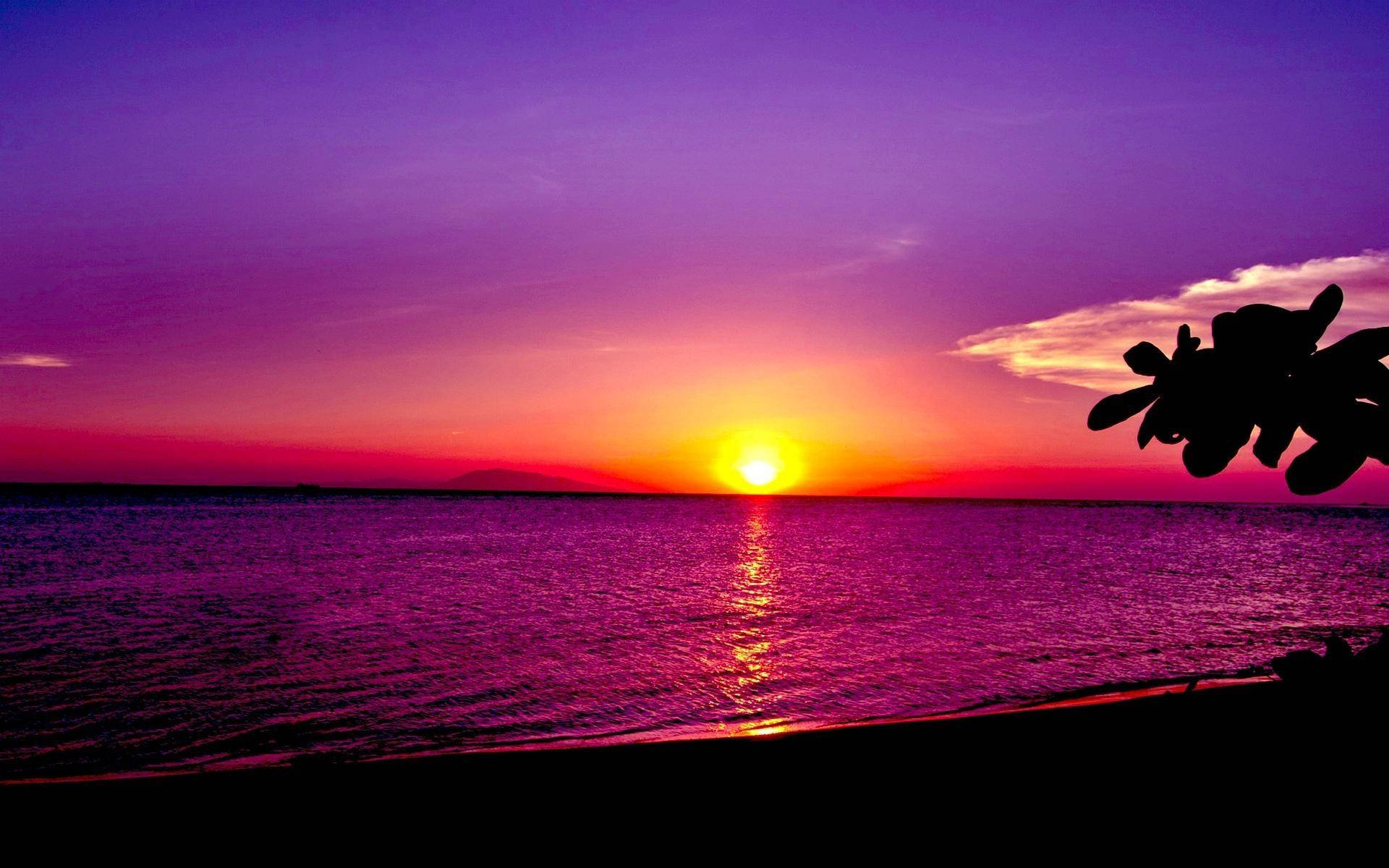 海灘日落 桌布 壁紙 — 夕陽將天空染成紫色和橙色，太陽在平靜的水面上沉入地平線，前景有棕櫚樹的剪影。