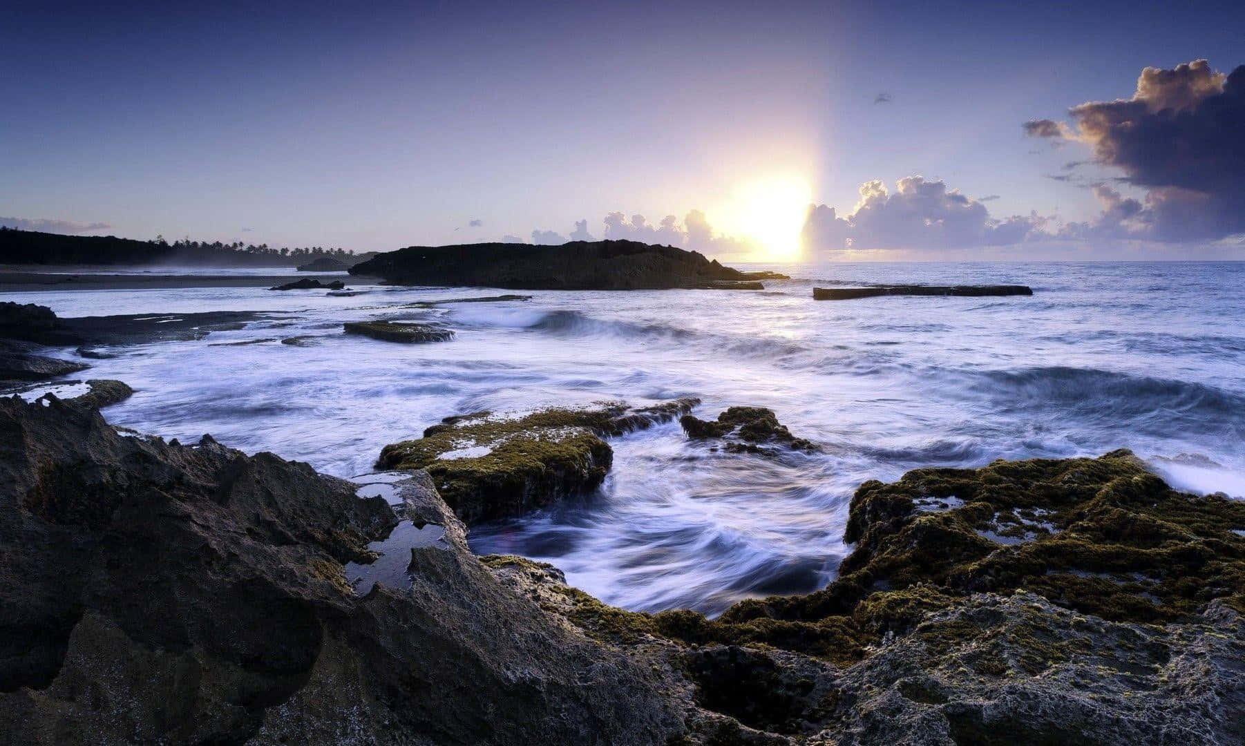 波多黎各 桌布 壁紙 — 夕陽將天空染成紫色和金色，海浪拍打著崎嶇海岸線上長滿苔蘚的岩石。