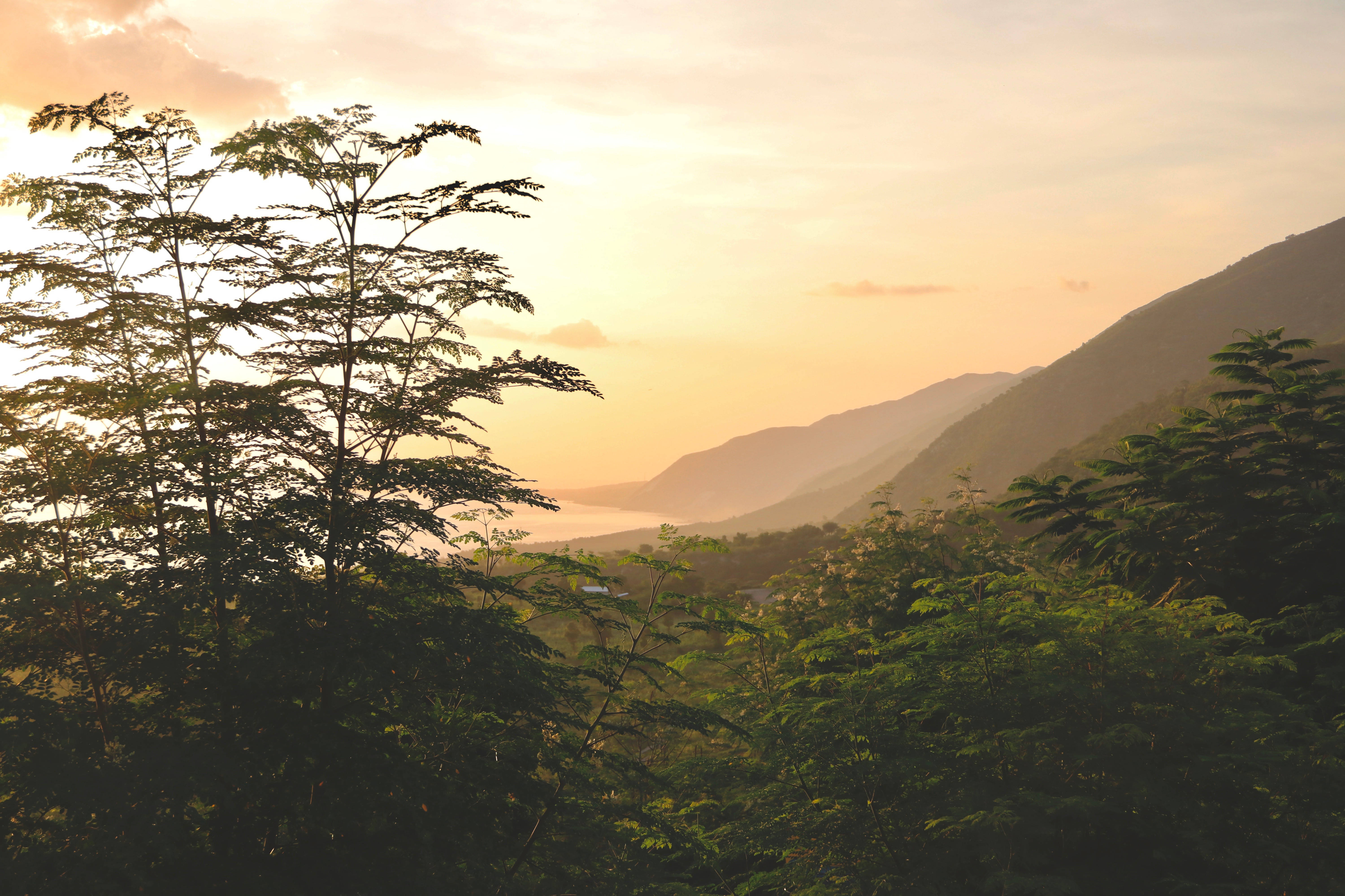 Haiti 桌布 壁紙 — 夕陽將山脊和茂密的綠樹沐浴在溫暖的金色光芒中，營造出寧靜的自然景觀。