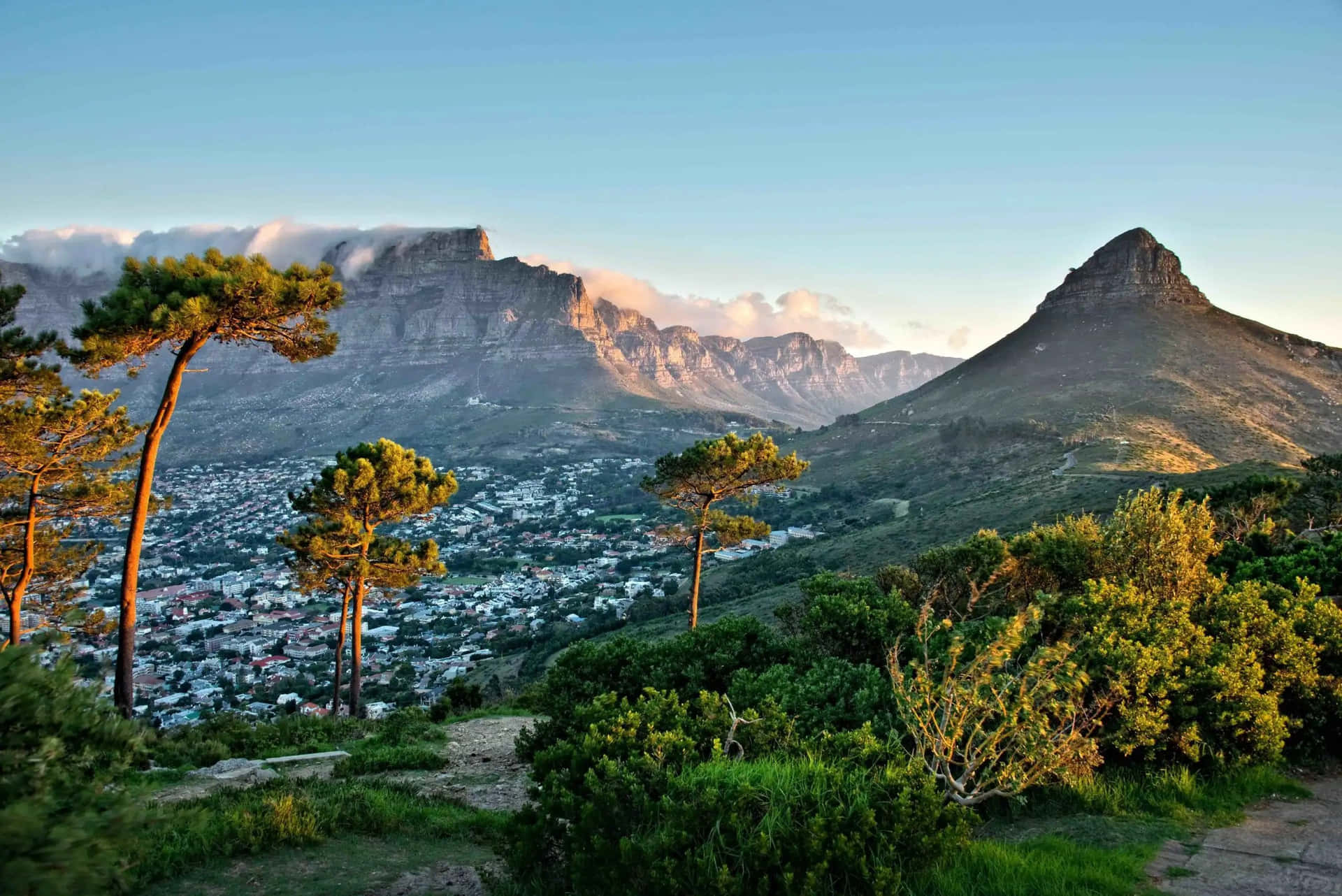 South Africa 桌布 壁紙 — 夕陽將桌山及其周圍的山峰沐浴在金黃色的光芒中，一個沿海小鎮坐落在下方的綠樹之間。