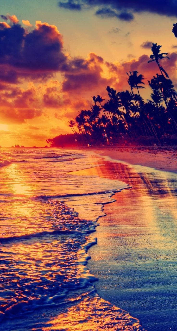 Sunset iPhone 桌布 壁紙 — 夕陽將海洋染成火熱的橙色和深藍色，海浪親吻著棕櫚樹環繞的沙灘。