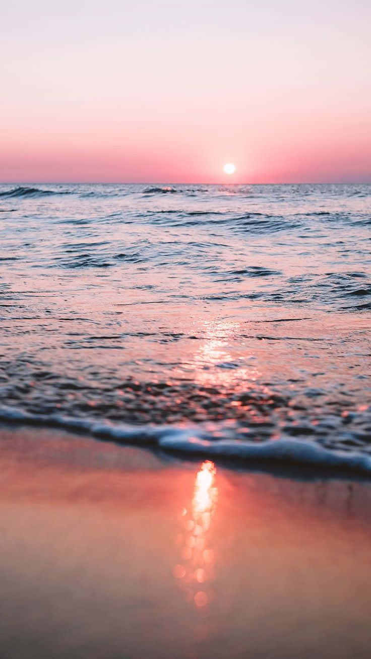 預科生美學 桌布 壁紙 — 夕陽將海洋染成粉紅色，溫柔的海浪輕拍海岸，映出柔和的光芒。
