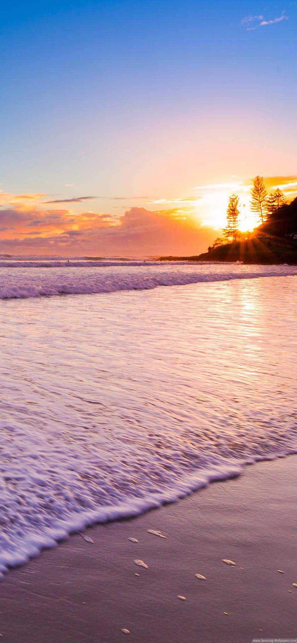 Beach Scene 桌布 壁紙 — 夕陽將海浪和沙灘染成溫暖的橙色和紫色色調，遠處的懸崖上矗立著剪影般的樹木。