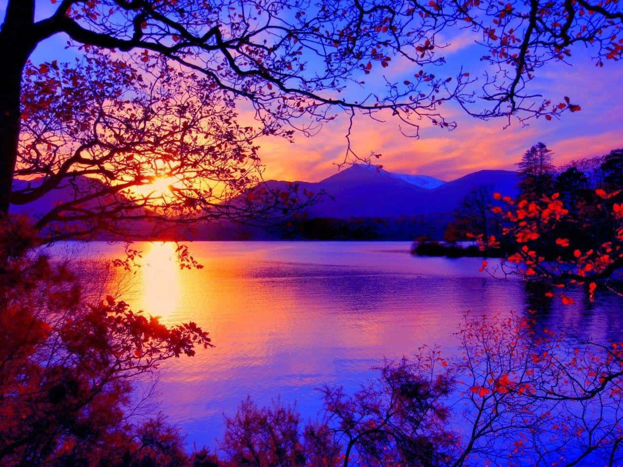 Fall Sunset 桌布 壁紙 — 夕陽將湖泊染成火熱的橙色和深紫色，光禿的樹枝框住了閃爍的地平線。