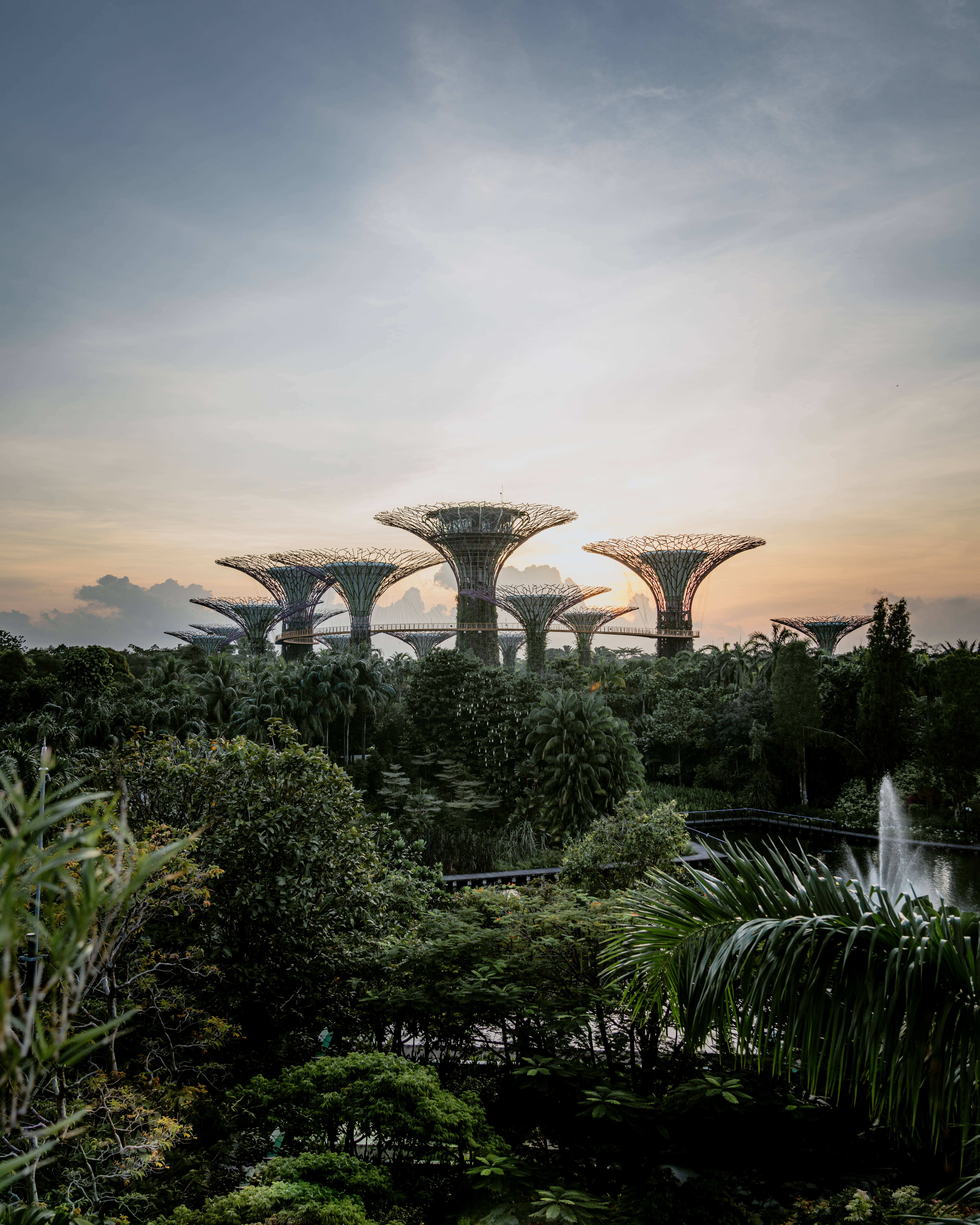 Singapore 桌布 壁紙 — 夕陽將濱海灣花園的標誌性超級樹沐浴在溫暖的金色光芒中，映襯著柔和的藍天。