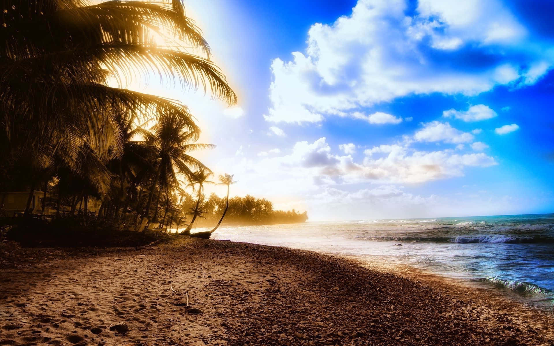 夏天 桌布 壁紙 — 夕陽將熱帶海灘沐浴在金色光芒中，棕櫚樹在充滿活力的藍天和蓬鬆雲朵的映襯下形成剪影。