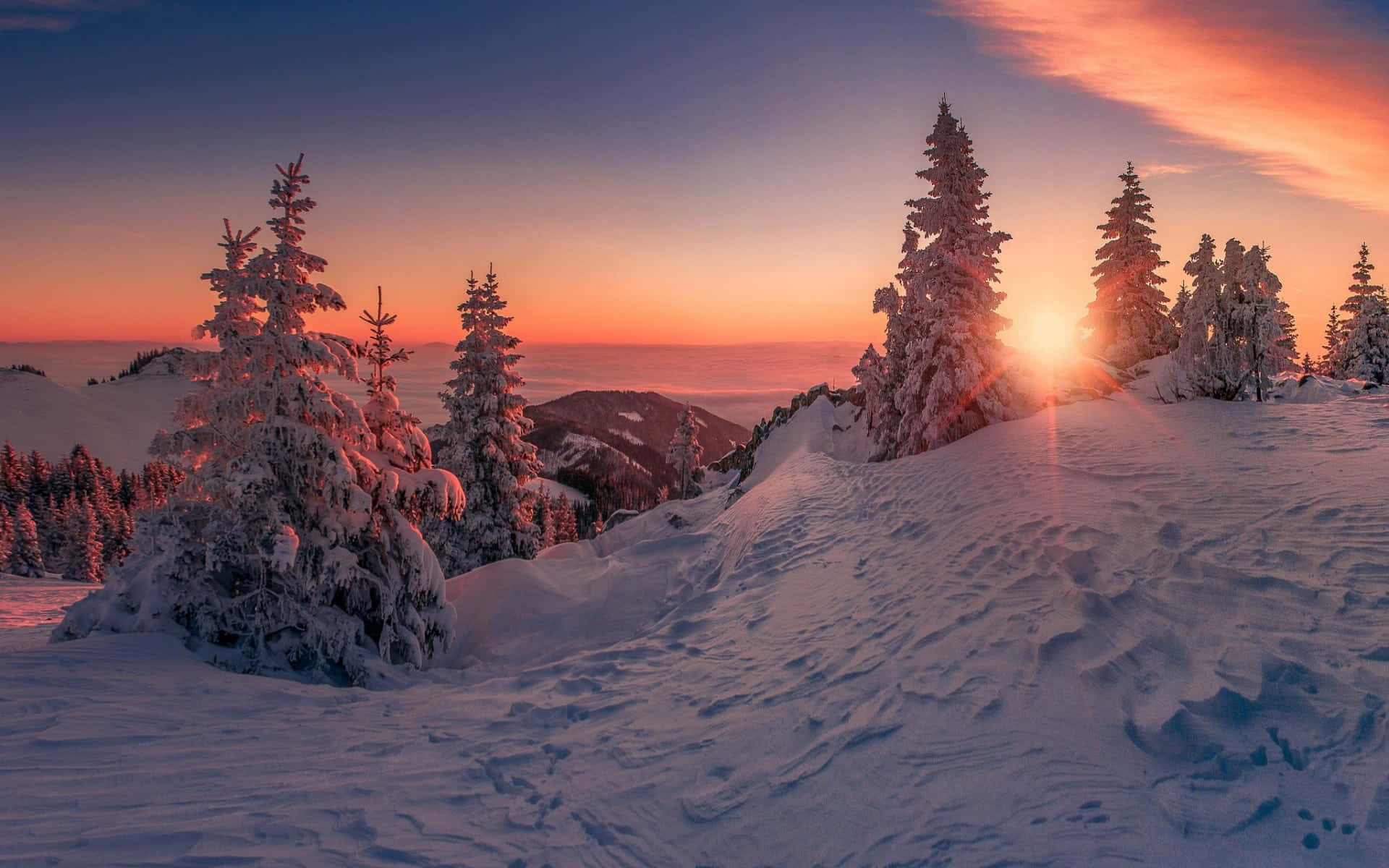 Beautiful Nature 桌布 壁紙 — 夕陽將白雪覆蓋的山峰和結霜的松樹染成火熱的橙色和紫色。