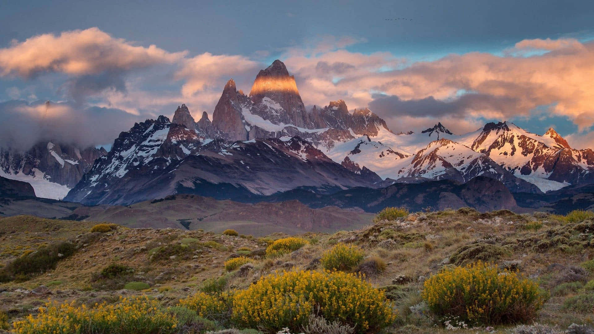 Patagonia 桌布 壁紙 — 夕陽將白雪覆蓋的山峰沐浴在金色光芒中，雲朵飄過黃色野花的前景。