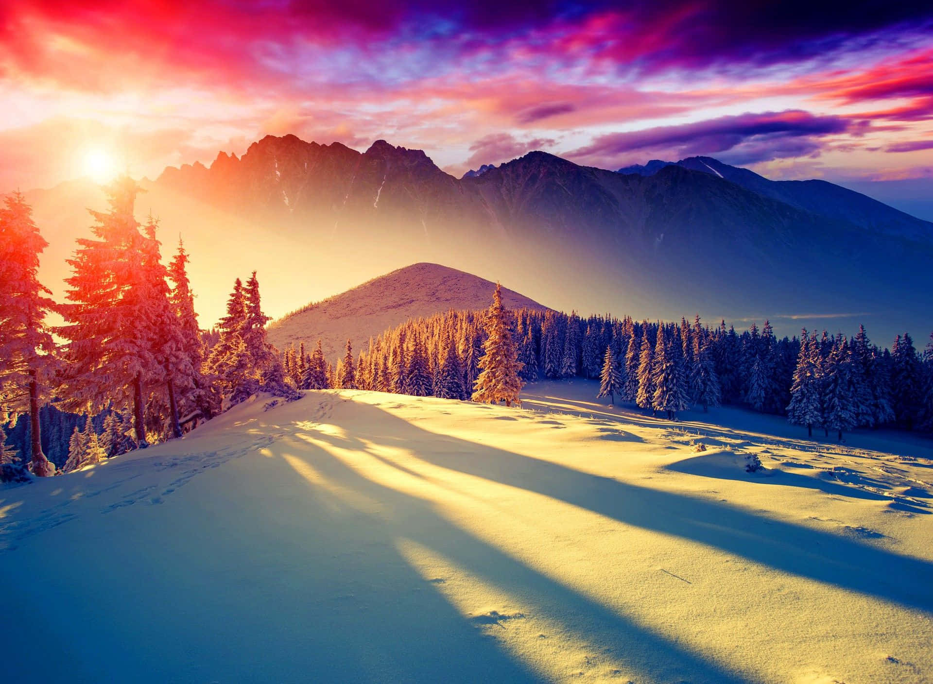 山景 桌布 壁紙 — 夕陽將白雪覆蓋的山脈和松樹染成火紅和紫色，長長的影子在雪地上延伸。
