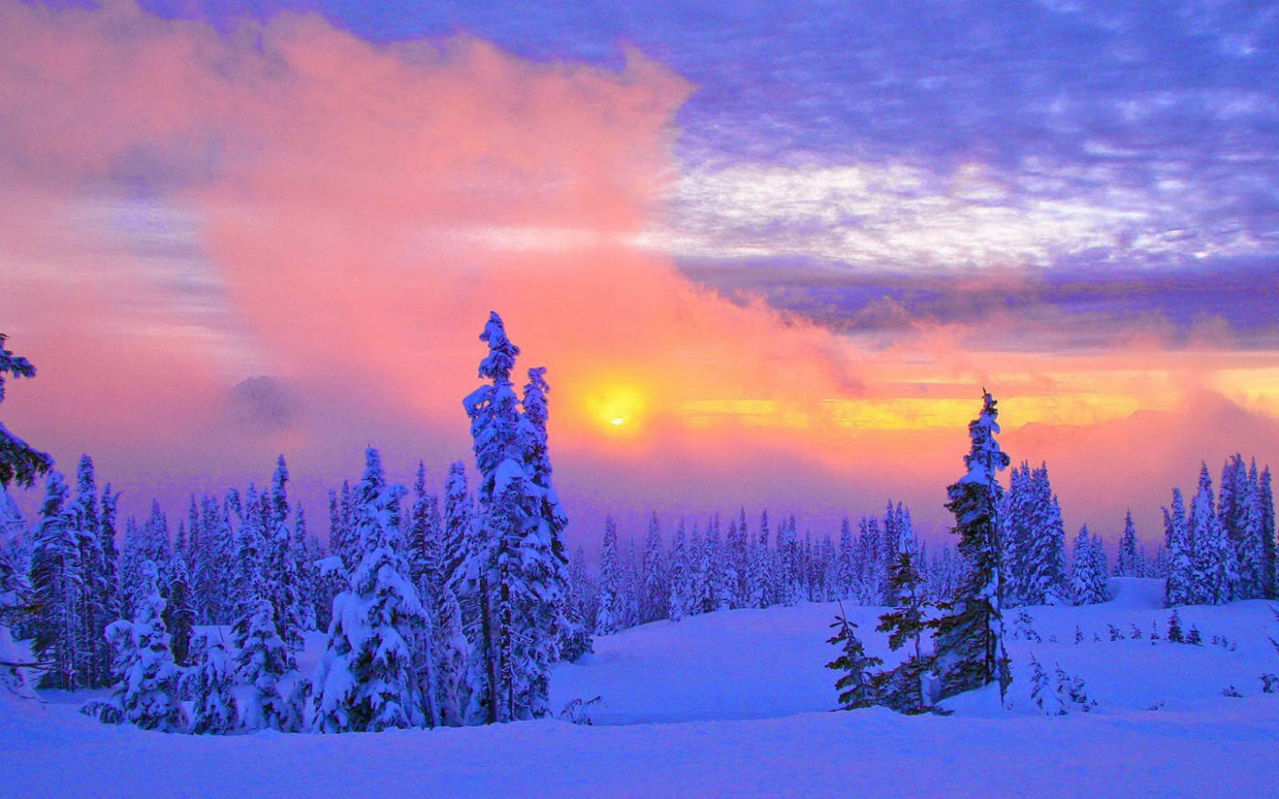 雪 桌布 壁紙 — 夕陽將白雪覆蓋的松樹林染上充滿活力的粉紅色、紫色和金色色調，橫跨冬季的天空。