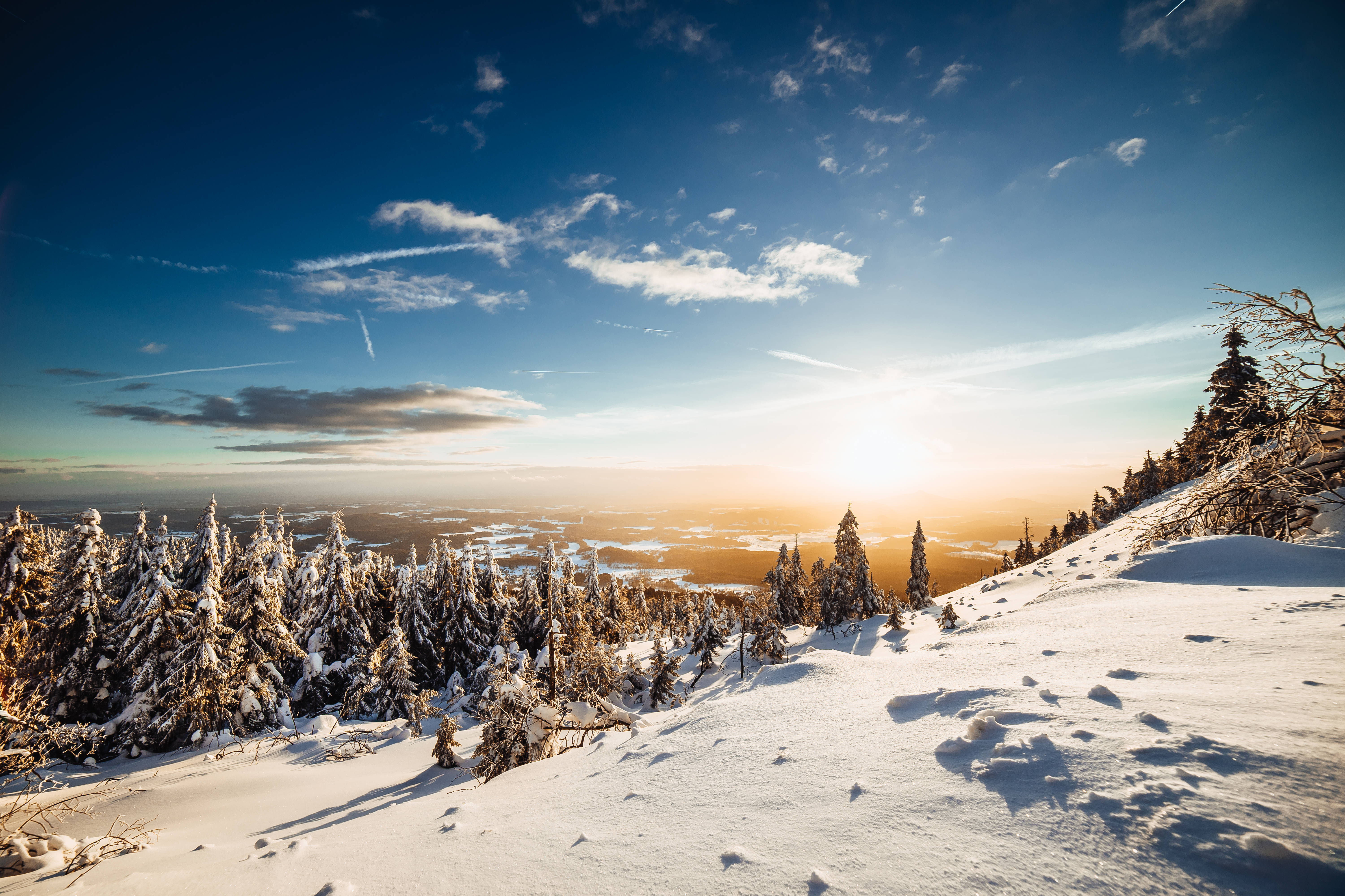 Powerpoint 桌布 壁紙 — 夕陽將積雪的松樹沐浴在金色光芒中，映襯著清澈的藍天和縷縷薄雲。