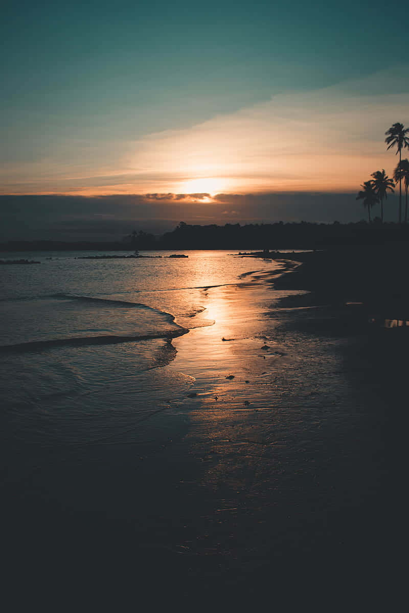 Beach Sunset HD 桌布 壁紙 — 夕陽將金色光芒投射在平靜的海浪上，海浪拍打著深色沙灘，棕櫚樹的剪影清晰可見。
