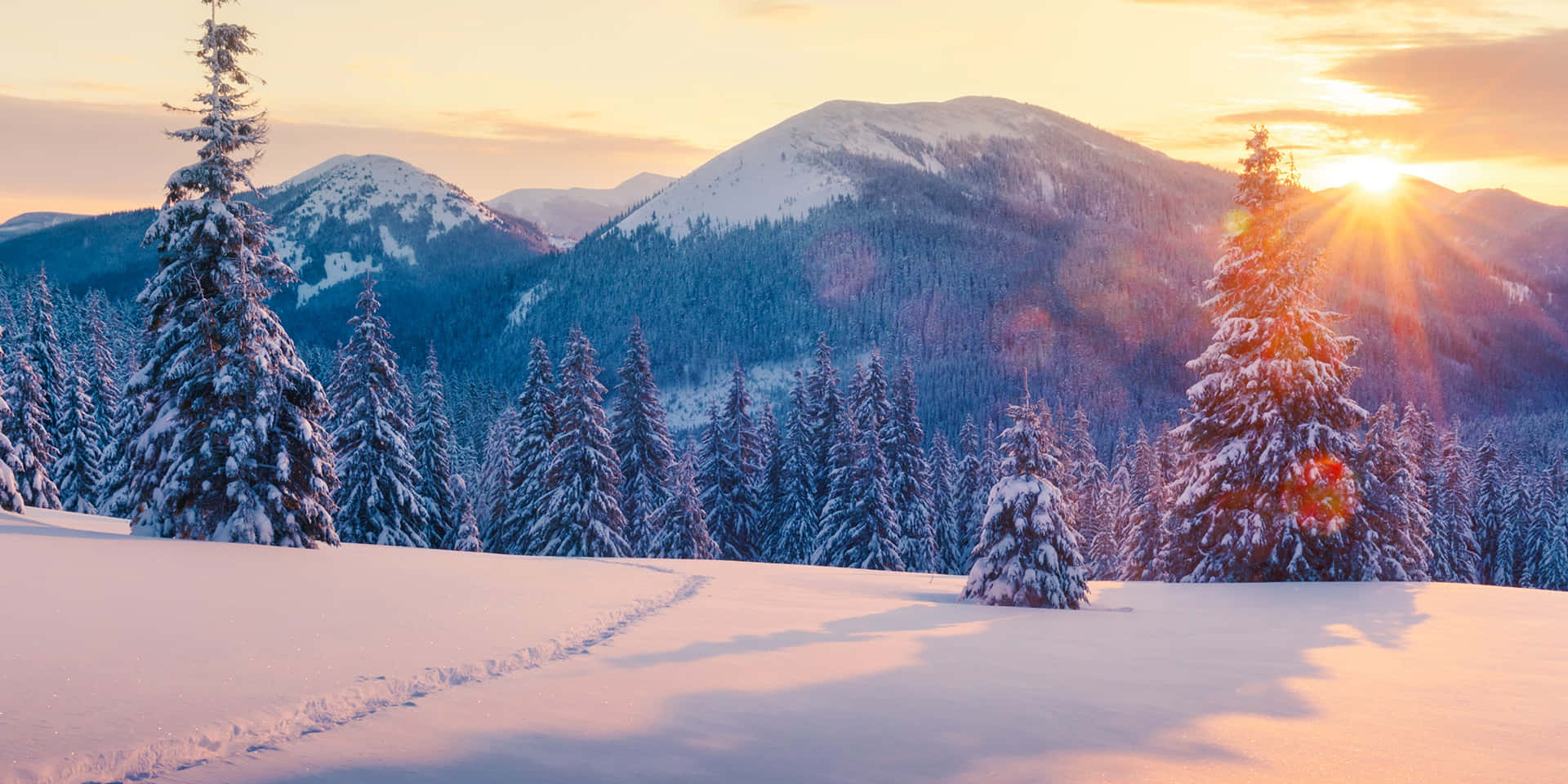 聖誕節 桌布 壁紙 — 夕陽將金色光芒灑在積雪的松樹和遠方的山脈上，營造出寧靜的冬日森林。