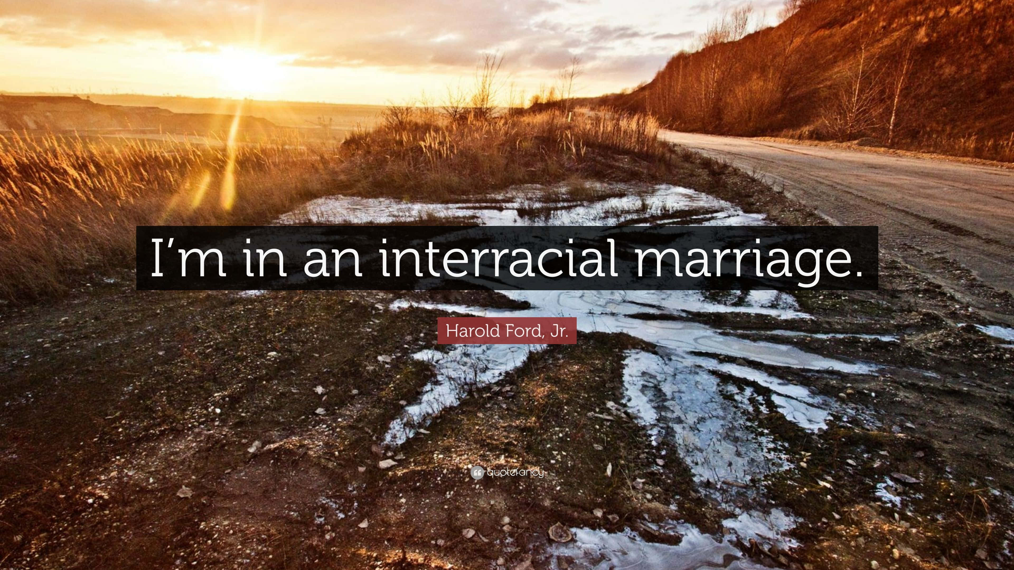 Interracial 桌布 壁紙 — 夕陽將金色光芒灑在積雪的路邊，高高的草叢和蜿蜒的小路映入眼簾。