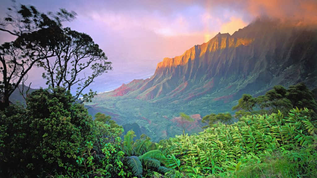 日出 桌布 壁紙 — 夕陽將鋸齒狀的山峰染成金色，而茂密的綠色樹葉框住了下方的山谷。