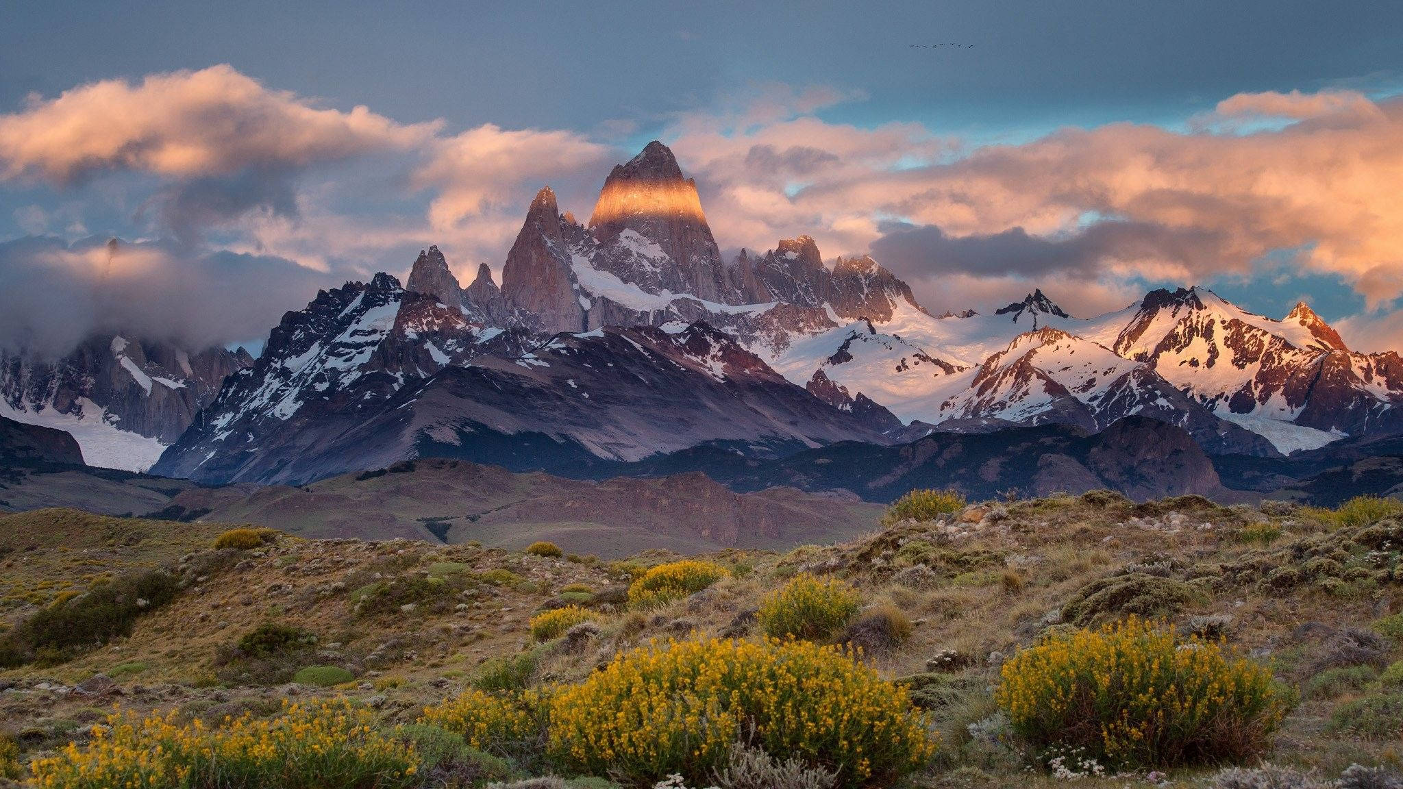 Patagonia 桌布 壁紙 — 夕陽將鋸齒狀的雪山頂峰沐浴在金色光芒中，下方是一片黃色野花田。