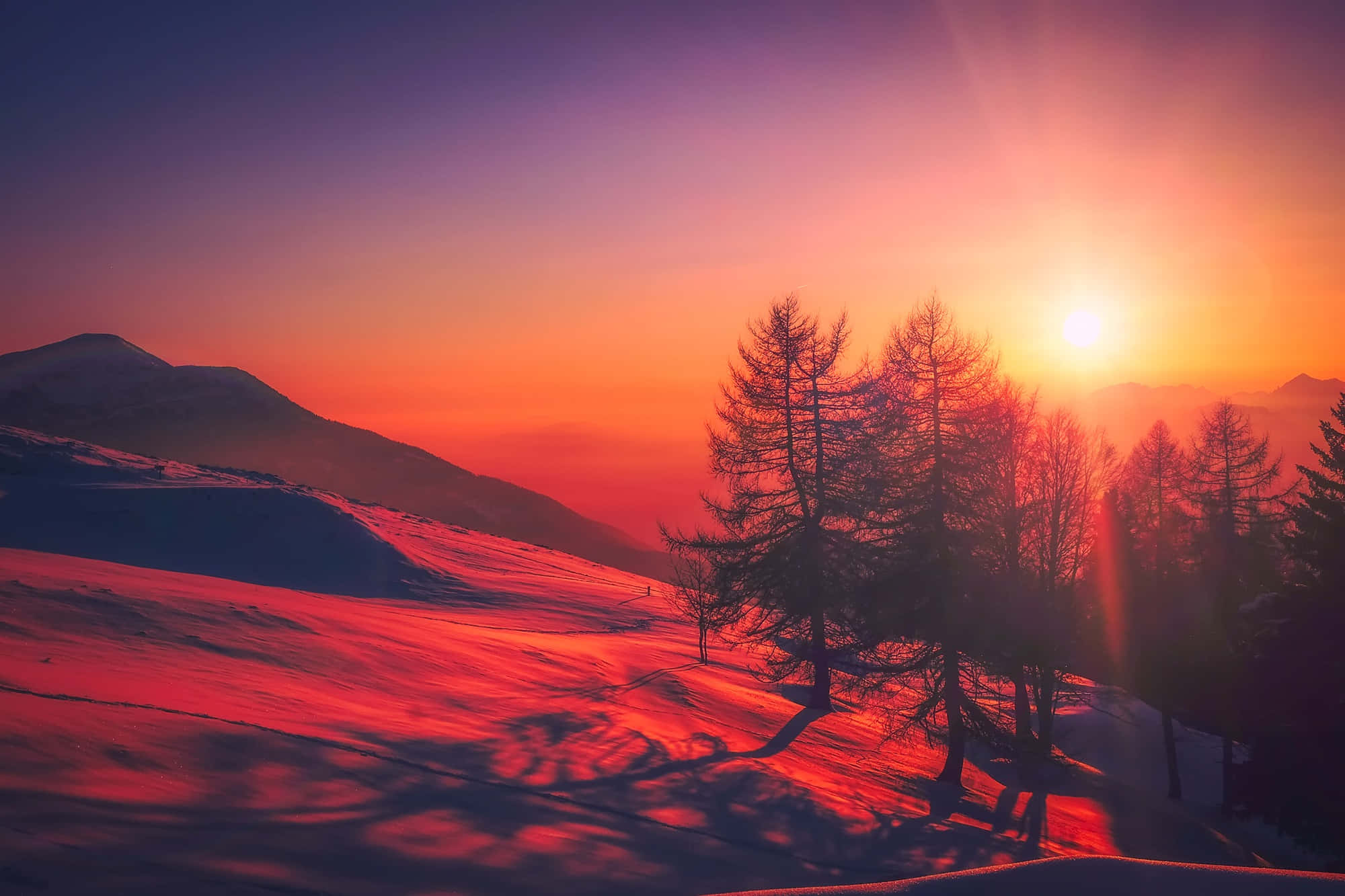 Fall Sunrise 桌布 壁紙 — 夕陽將雪山和光禿禿的樹木染成火熱的橙色和紫色色調，在地貌上投下長長的陰影。