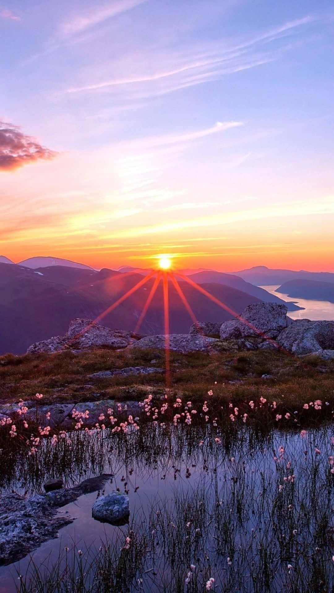 日落 桌布 壁紙 — 夕陽散發出金色光芒，照耀著山頂和寧靜的湖泊，前景有粉紅色的花朵。