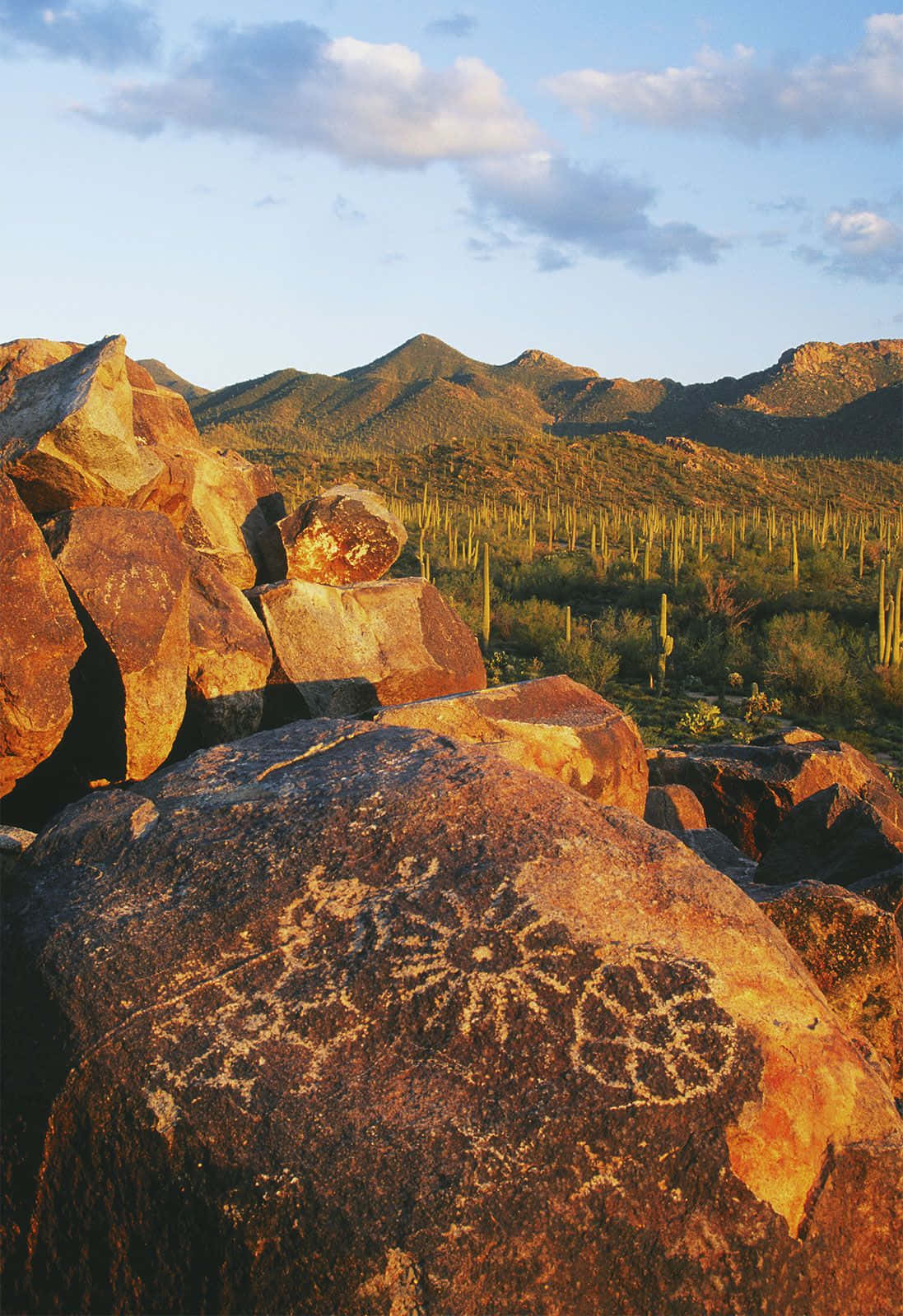 Arizona 桌布 壁紙 — 夕陽沐浴在沙漠巨石上的古老岩畫，遠山和薩瓜羅仙人掌在柔和的藍天下。