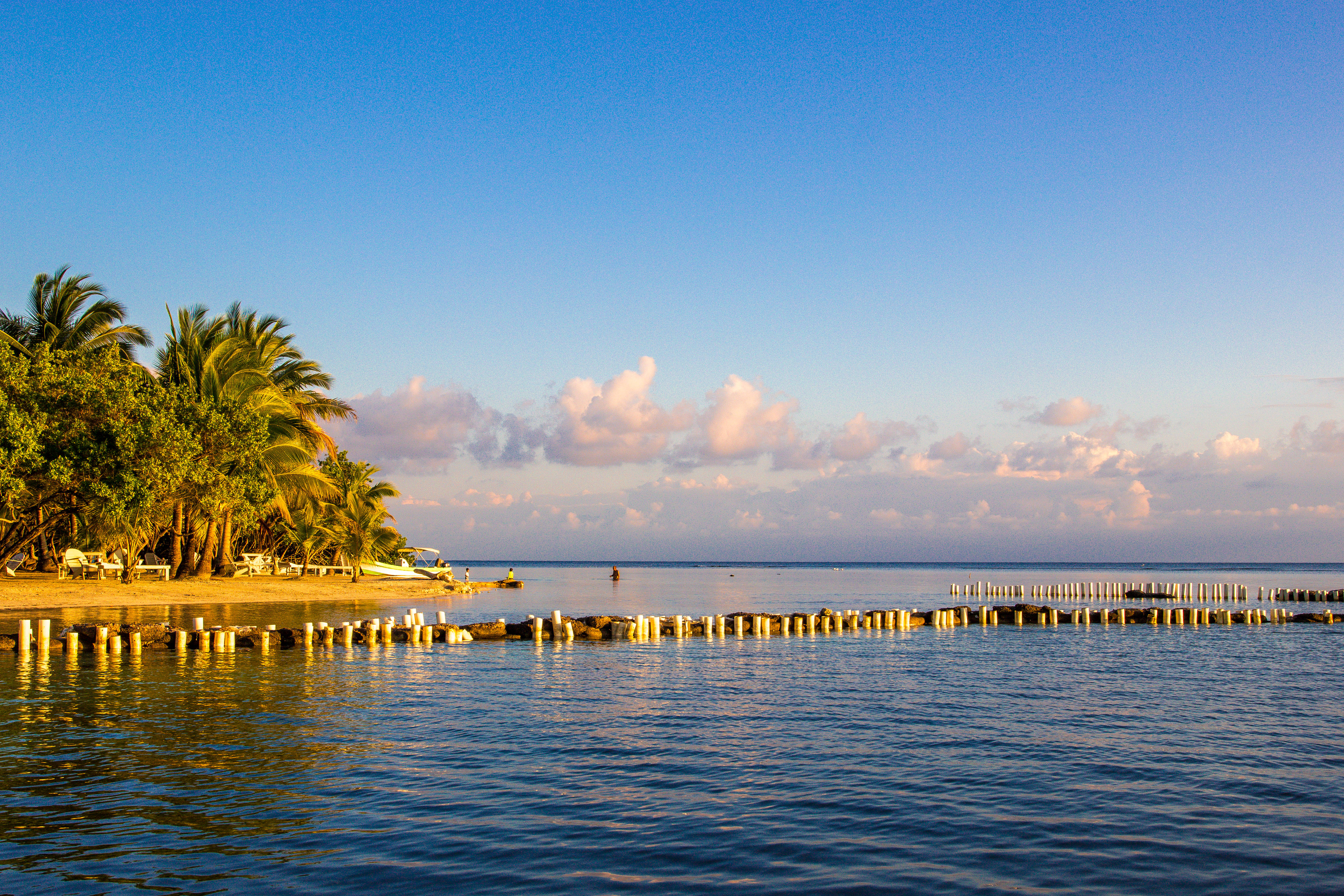 Honduras 桌布 壁紙 — 夕陽沐浴著寧靜的熱帶海灘，棕櫚樹和寧靜的海水映照著粉紅色的雲彩和金色的光芒。