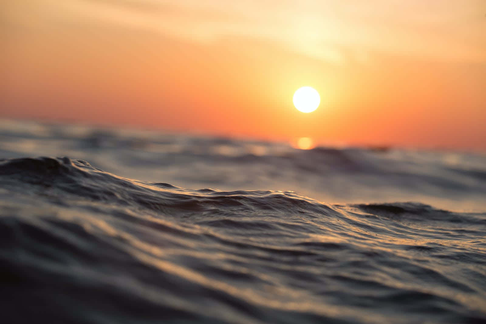 日落 桌布 壁紙 — 夕陽溫暖地照耀在漣漪的海浪上，呈現寧靜的海岸景色。