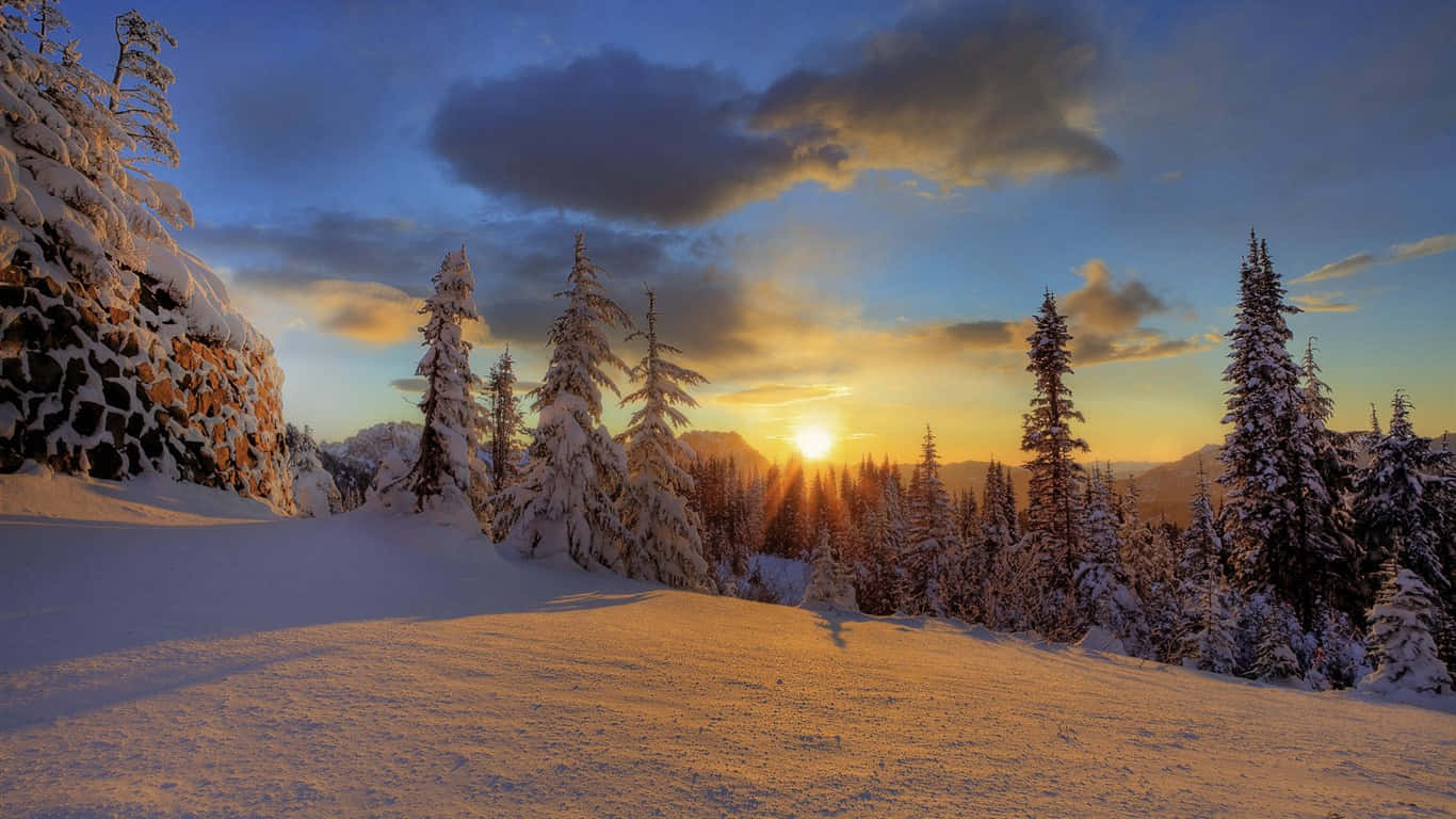 Winter Sun 桌布 壁紙 — 夕陽溫暖地照耀著被雪覆蓋的松樹和岩石，營造出寧靜的冬日森林。