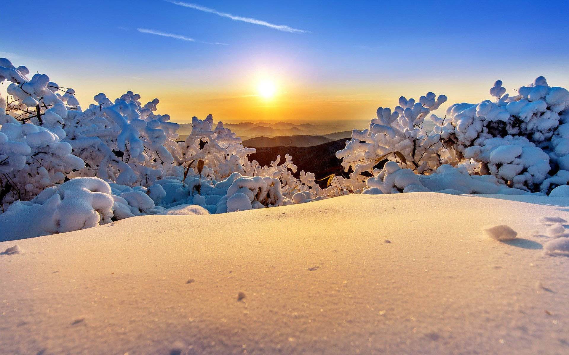 Winter 桌布 壁紙 — 夕陽溫暖地照耀著被雪覆蓋的樹枝和一片純淨的雪山坡，天空清澈湛藍。