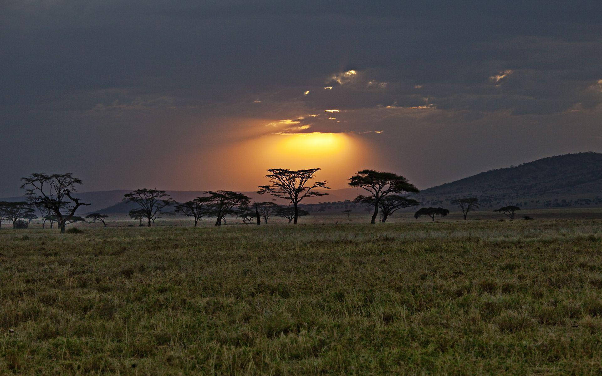Kenya 桌布 壁紙 — 夕陽穿透烏雲，照耀在廣闊非洲大草原的金合歡樹上，遠處丘陵起伏。