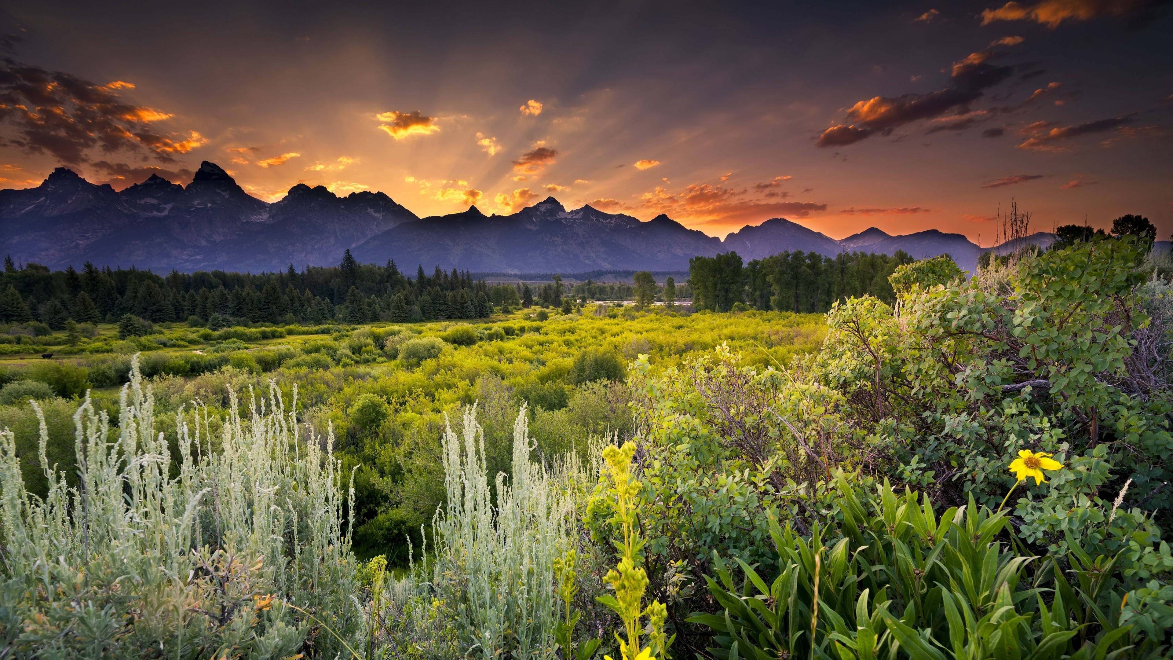 Scenery 桌布 壁紙 — 夕陽穿透雲層，照耀在鋸齒狀的山峰之上，照亮了前景中野花盛開的翠綠草地。