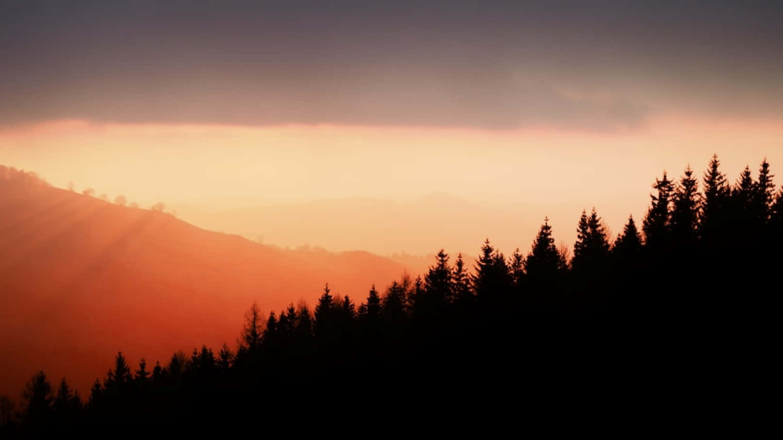 Vibey 桌布 壁紙 — 夕陽穿透霧氣繚繞的山巒，在深色松樹的剪影上投射出溫暖的橙色光芒。