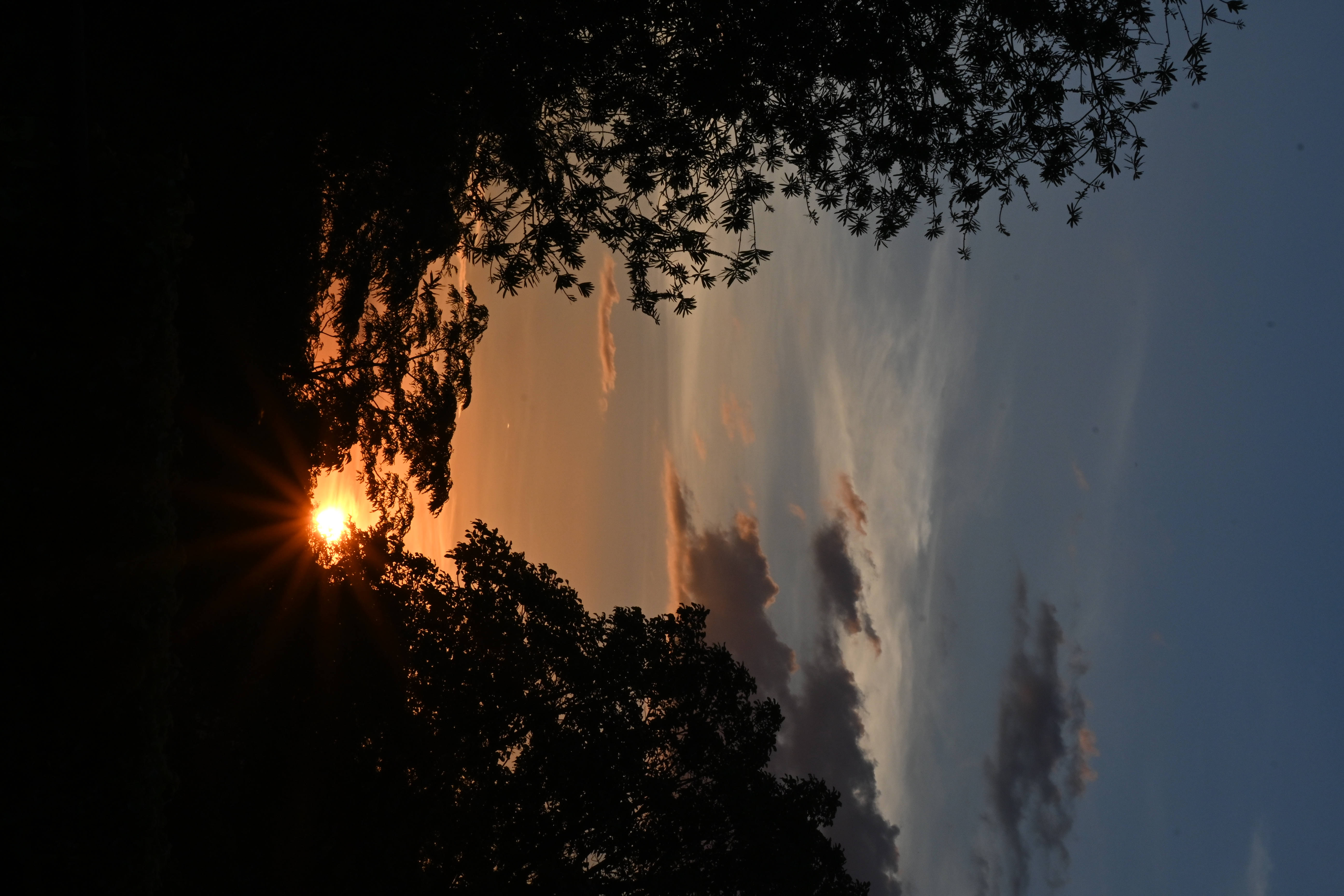 Zambia 桌布 壁紙 — 夕陽穿過樹枝剪影閃耀，在深藍色天空的襯托下，將溫暖的光芒投射在縷縷雲彩上。