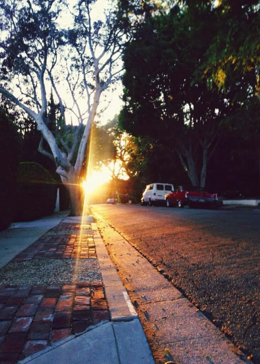 Sidewalk 桌布 壁紙 — 夕陽穿過無葉的樹枝，在停滿汽車的寧靜住宅街道上灑下金色的光芒。