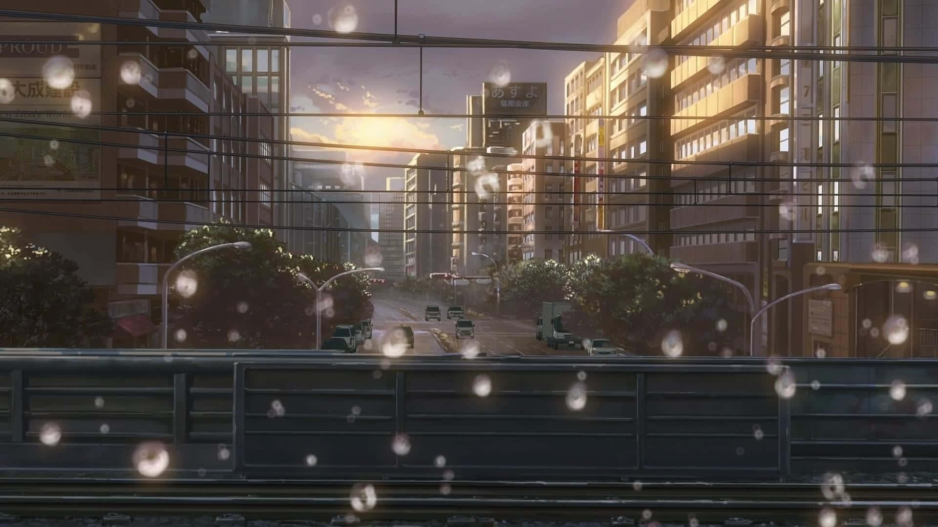 新海誠 桌布 壁紙 — 夕陽穿過窗戶上的雨滴，俯瞰一條寧靜的城市街道，高樓大廈和稀疏的交通。