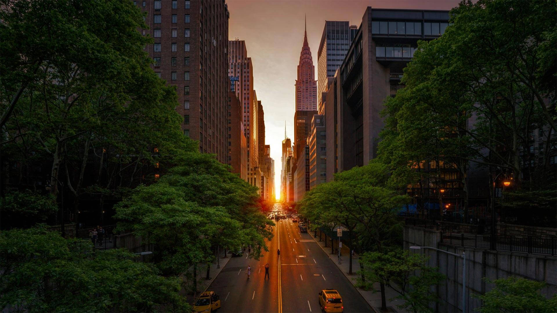Nyc Aesthetic 桌布 壁紙 — 夕陽穿過紐約市高聳的摩天大樓，照耀在兩旁種滿樹木的大道上，黃色的士和行人點綴其間。